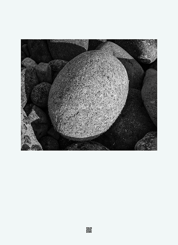 The First Nature_glassland_봄, 65(w) x 90(h)cm, Print on Fine Art Paper