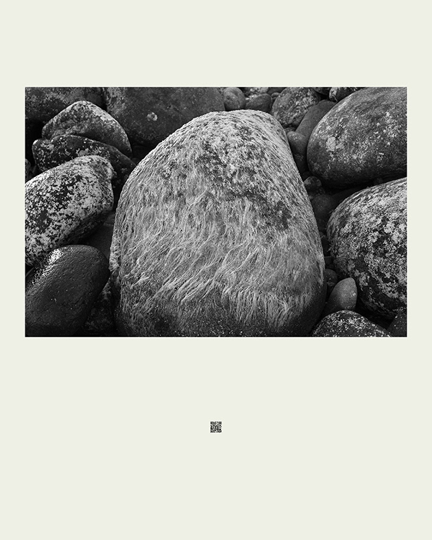 The First Nature_glassland_독도, 80(w) x 100(h)cm, Print on Fine Art Paper