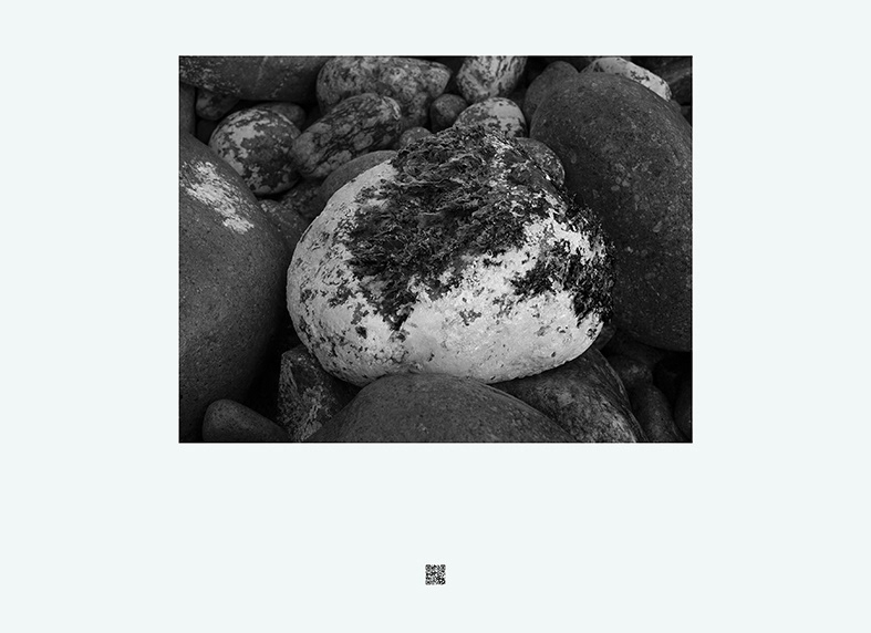 The First Nature_glassland_바람, 90(w) x 65(h)cm, Print on Fine Art Paper