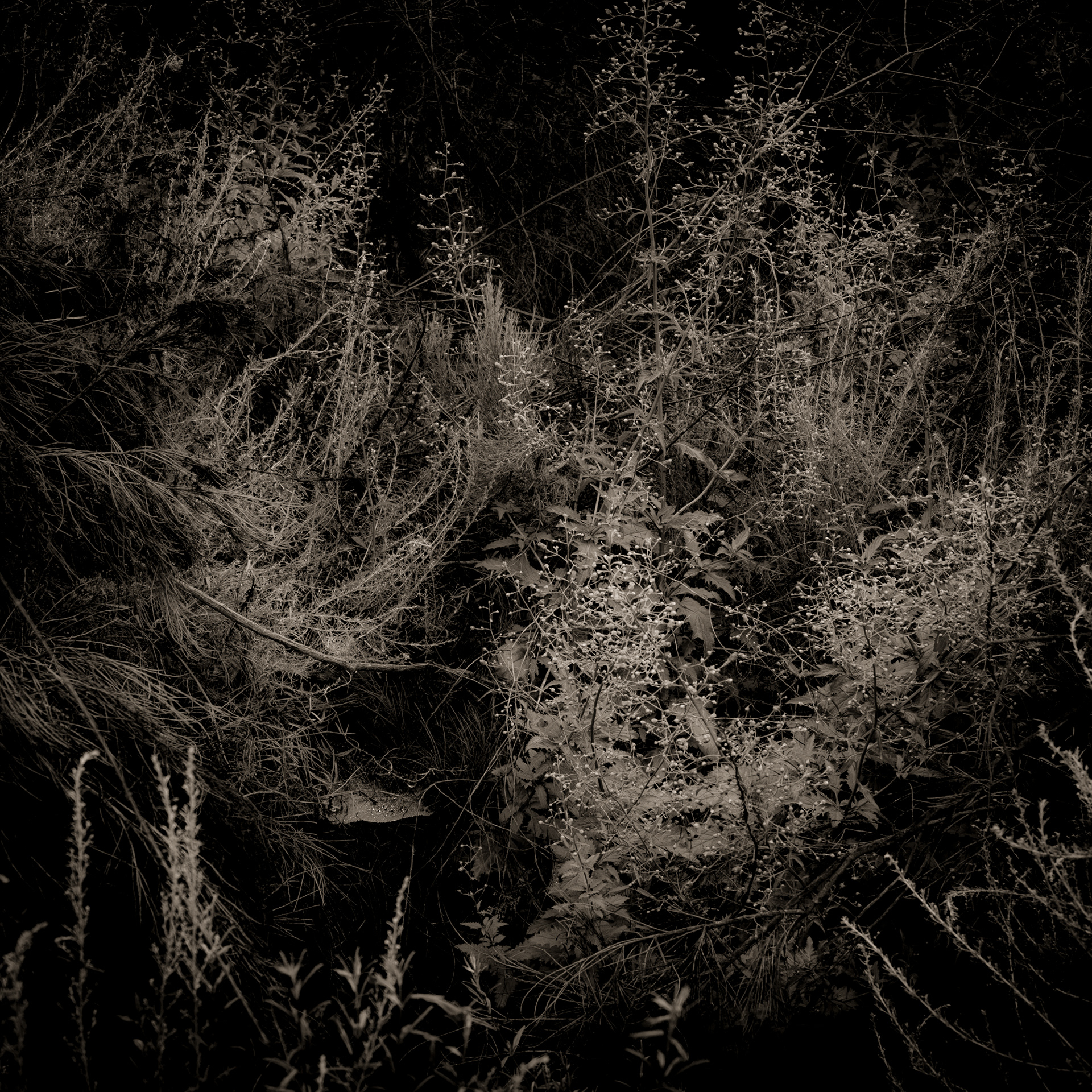 Seeing