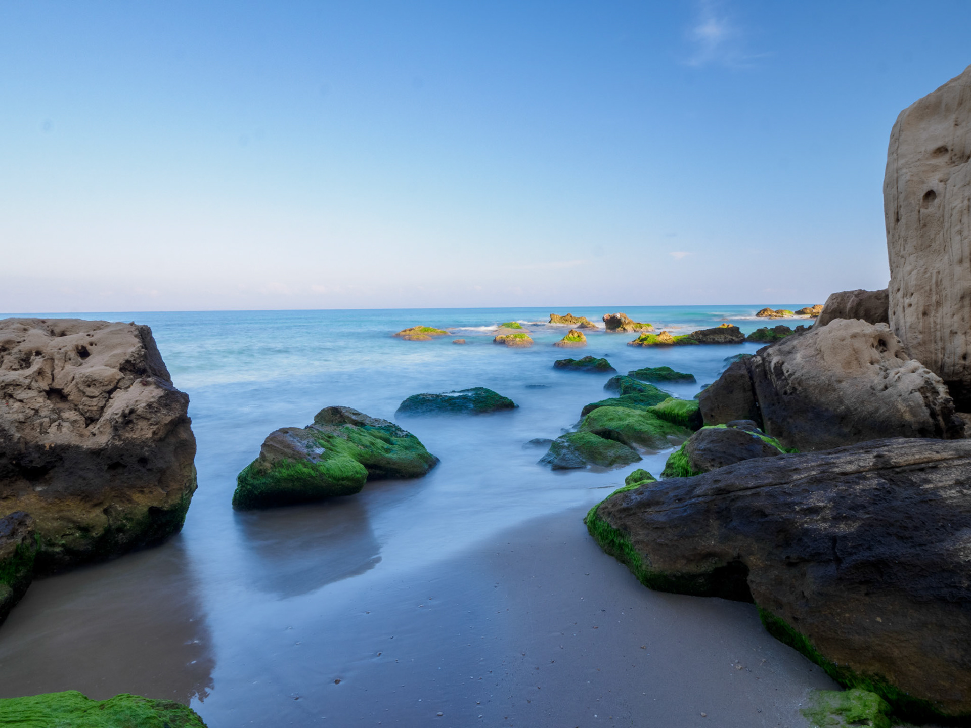 The low tide with greens rocks in the beach