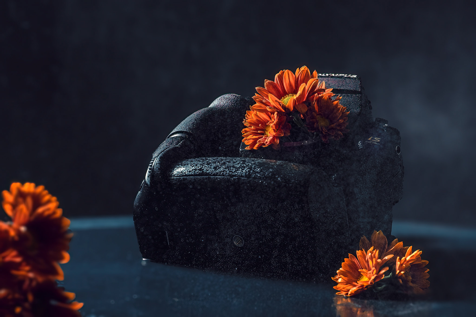 In-camera blooming flowers