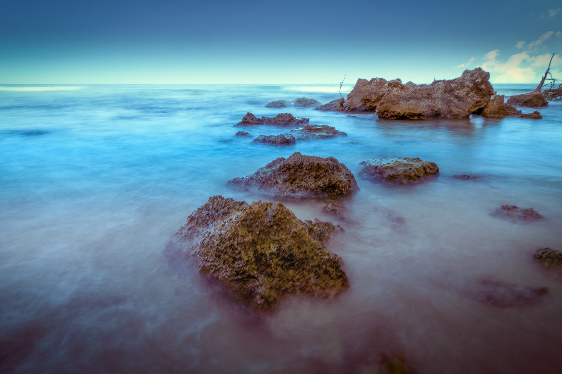 The rocks where the fallen tree is in the sea at Gedor national park