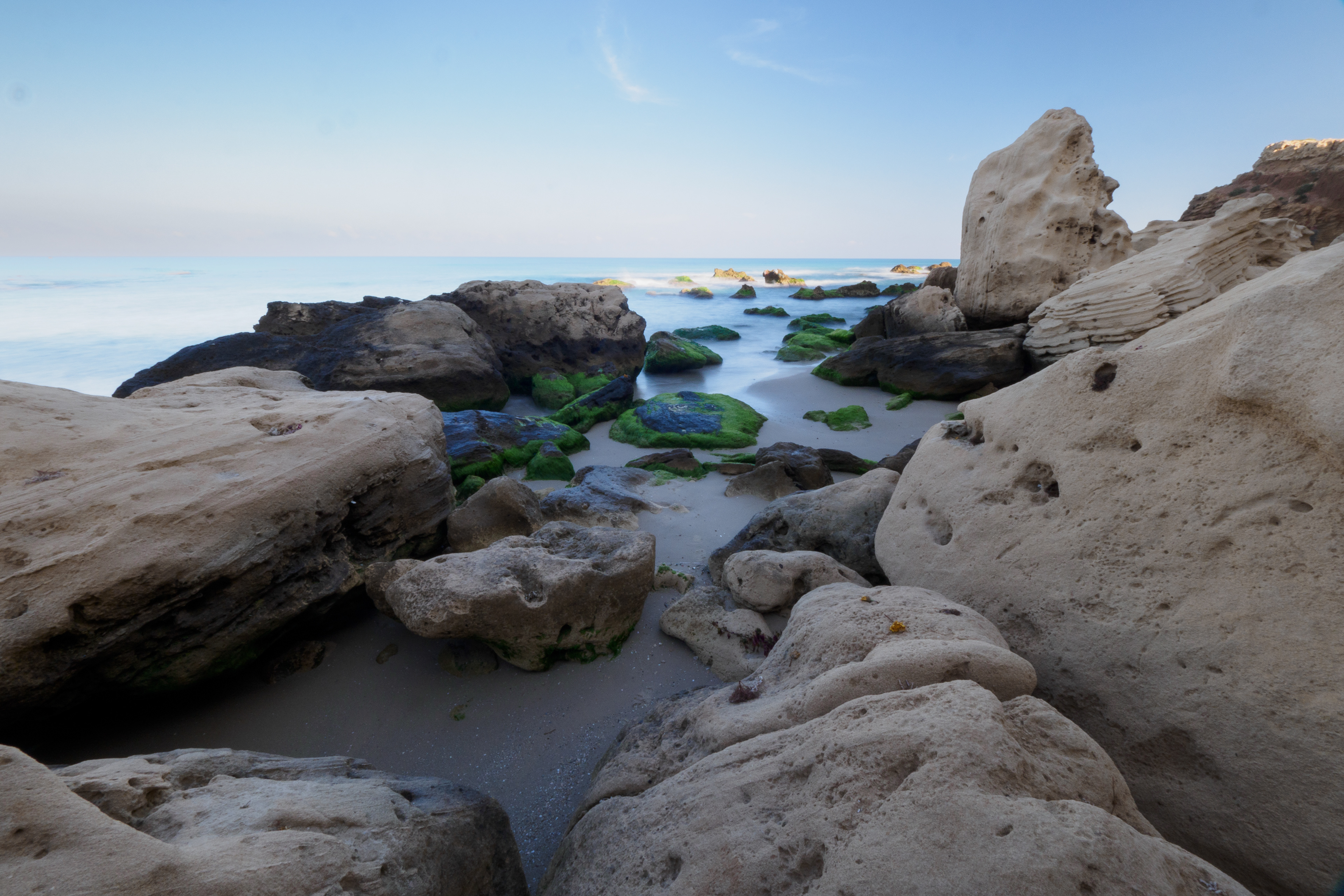 The low tide and greenery on the rocks on sunrise