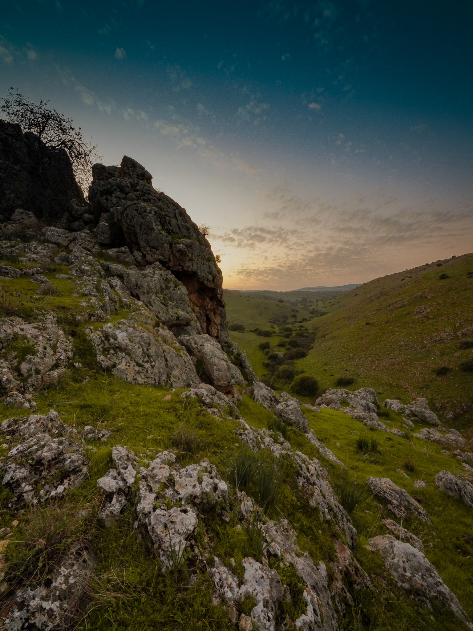Park Arbel 02