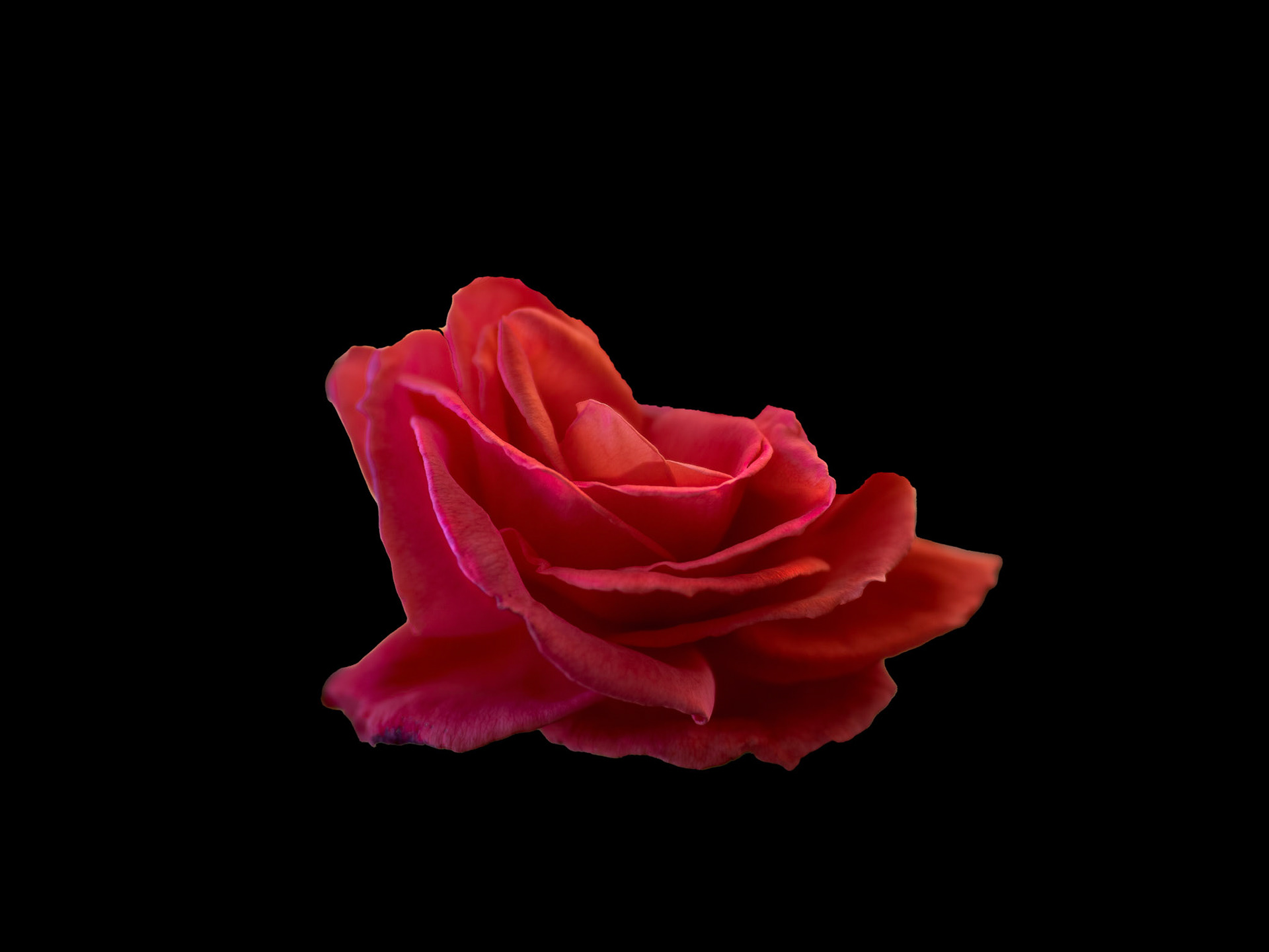 April 2021: Art of Photography, Valid World Hall, Barcelona, Spain.