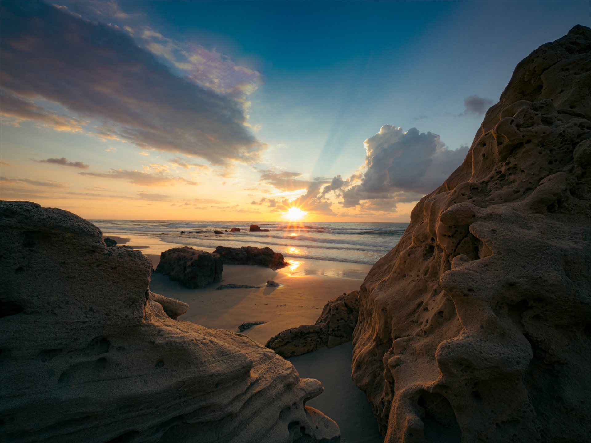 May 2022: Nature photographer of the year, Coningsby Gallery, London