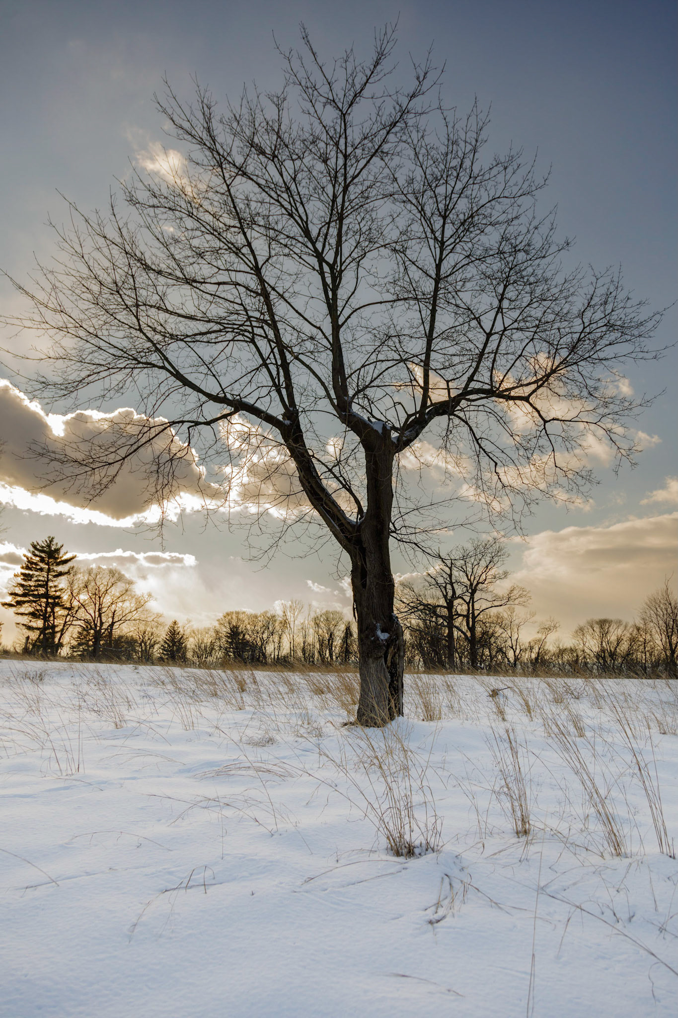 Winter on the Hiltop