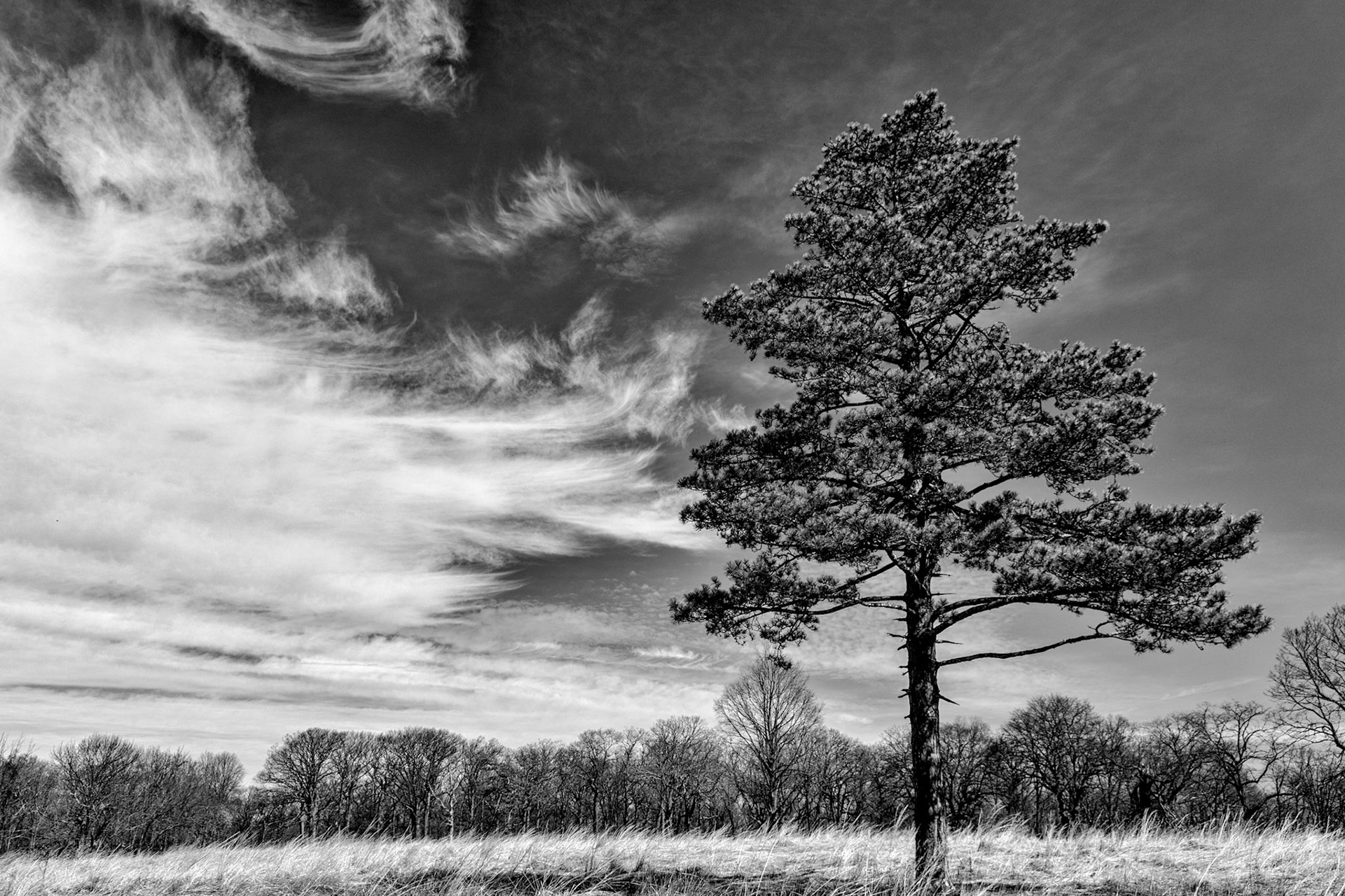 Winter on the Hiltop