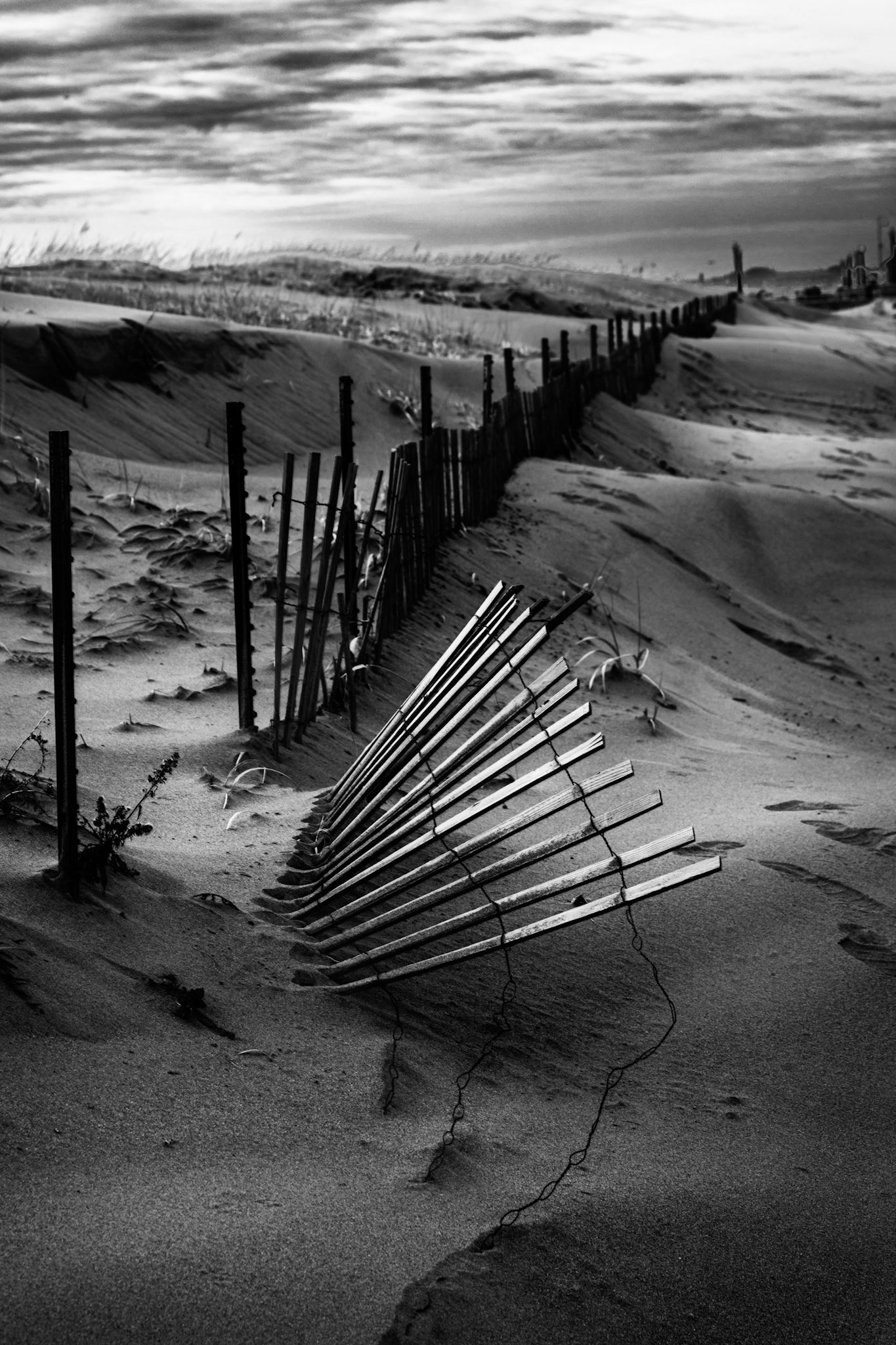 SandFence