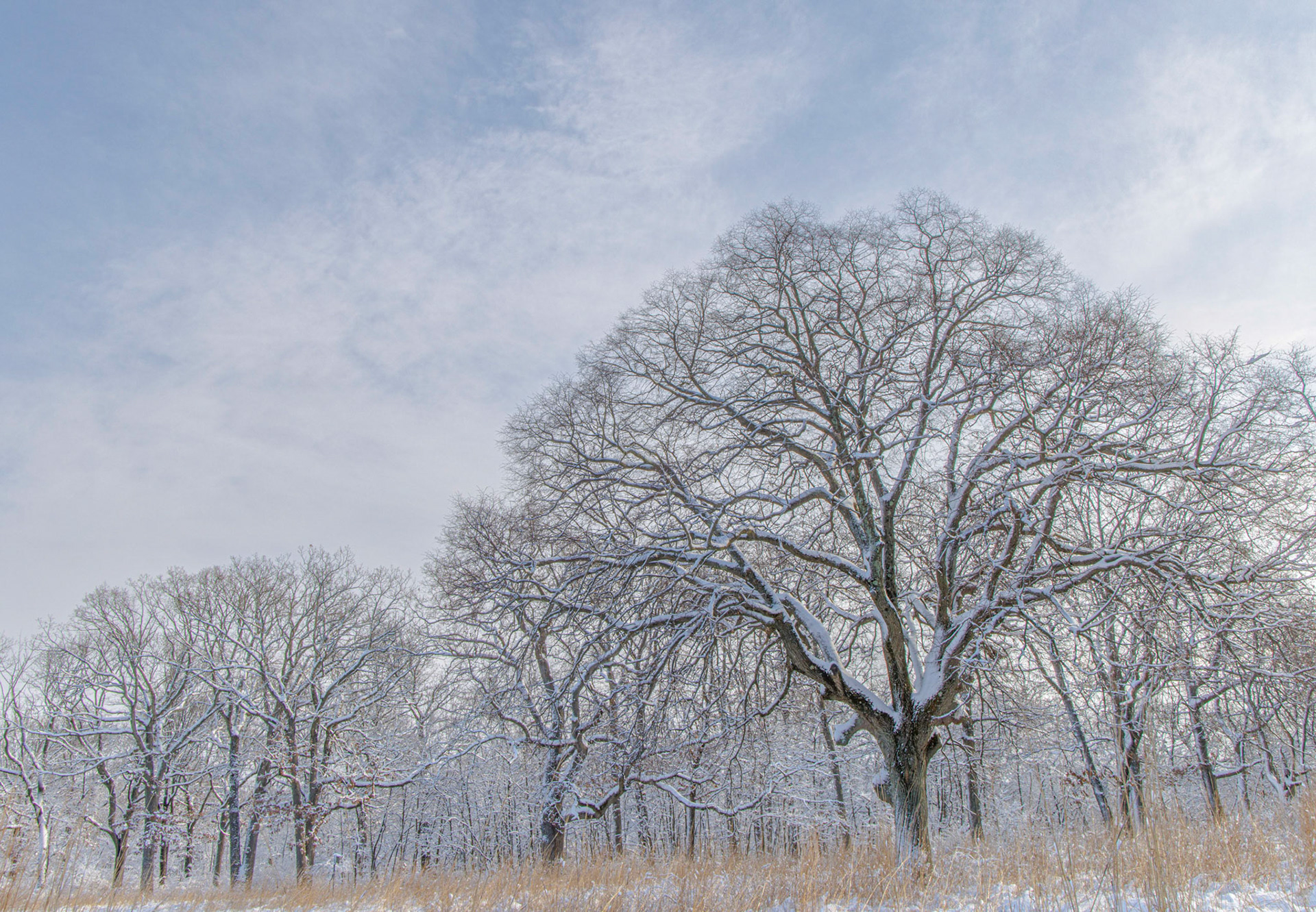 Hiltop Cedar Grove, NJ