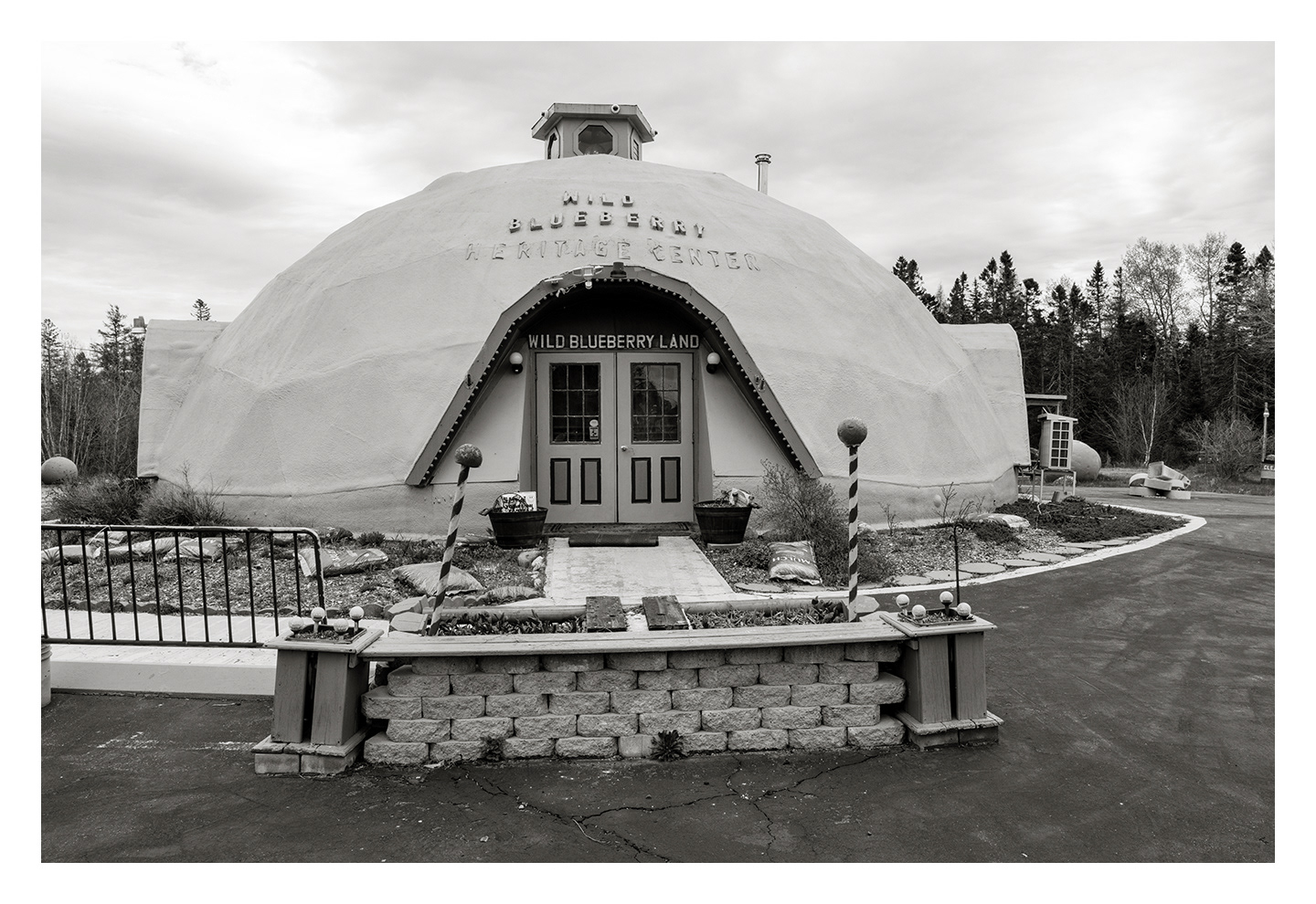 Wild Blueberry Land, Columbia Falls, ME