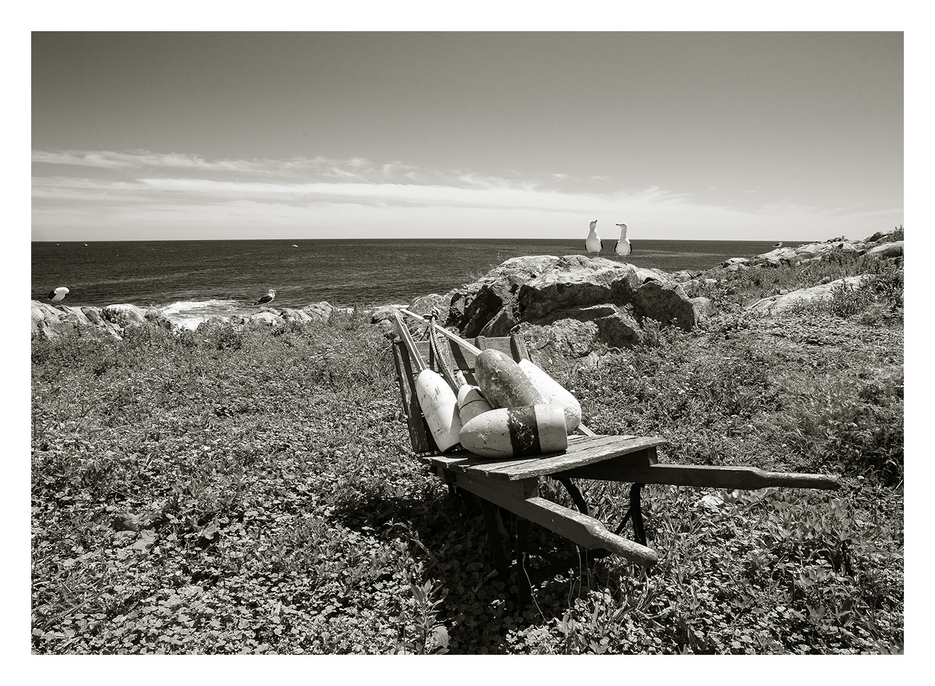 Wheelbarrow, Buoys, and Gulls