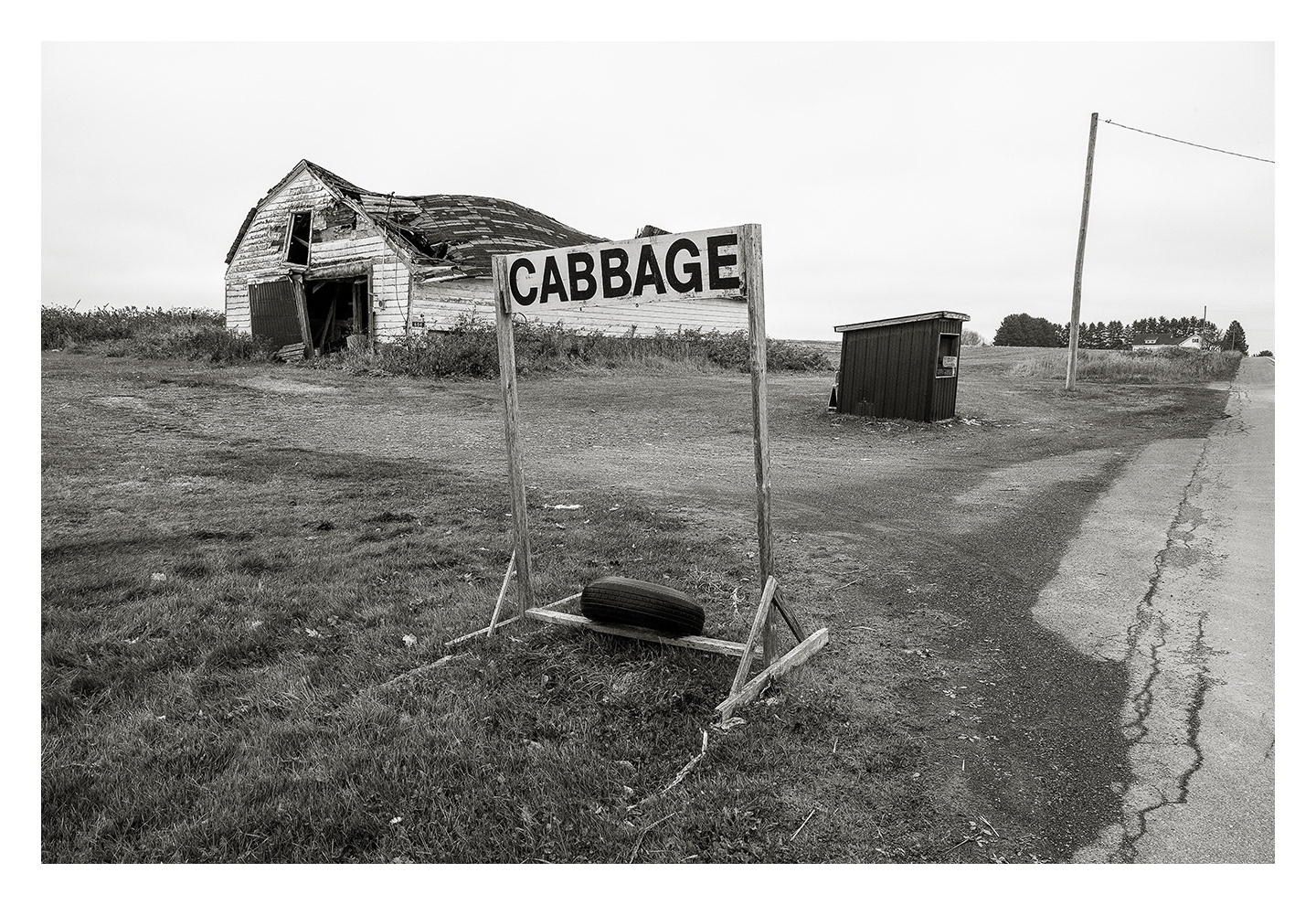 Roadside Cabbage Stand, Caribou, ME