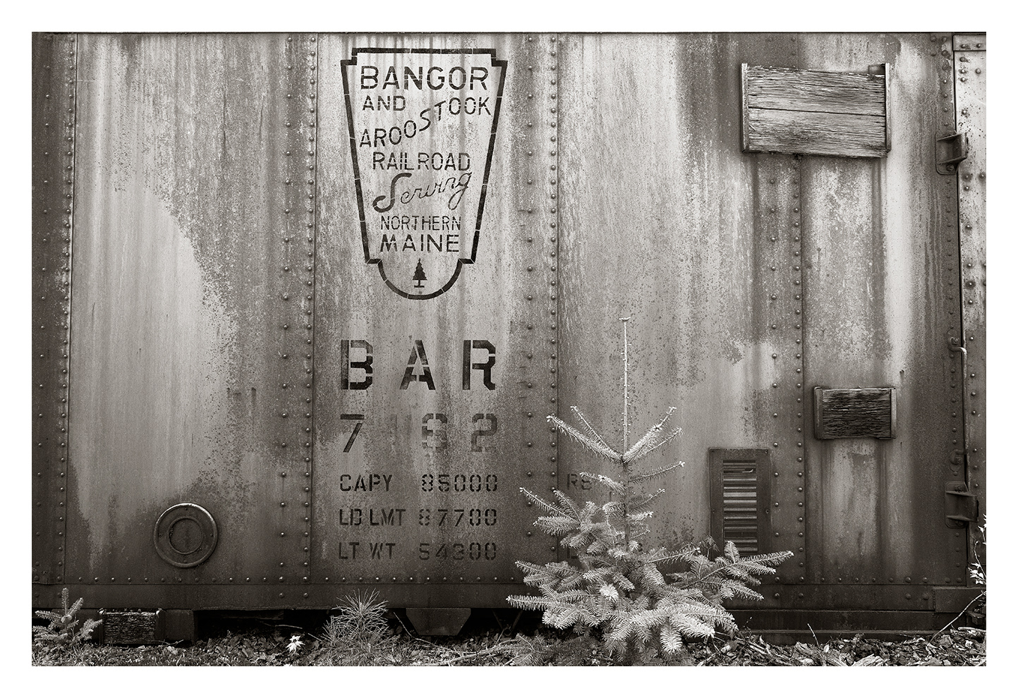 Boxcar in the Woods, Meddybemps, ME