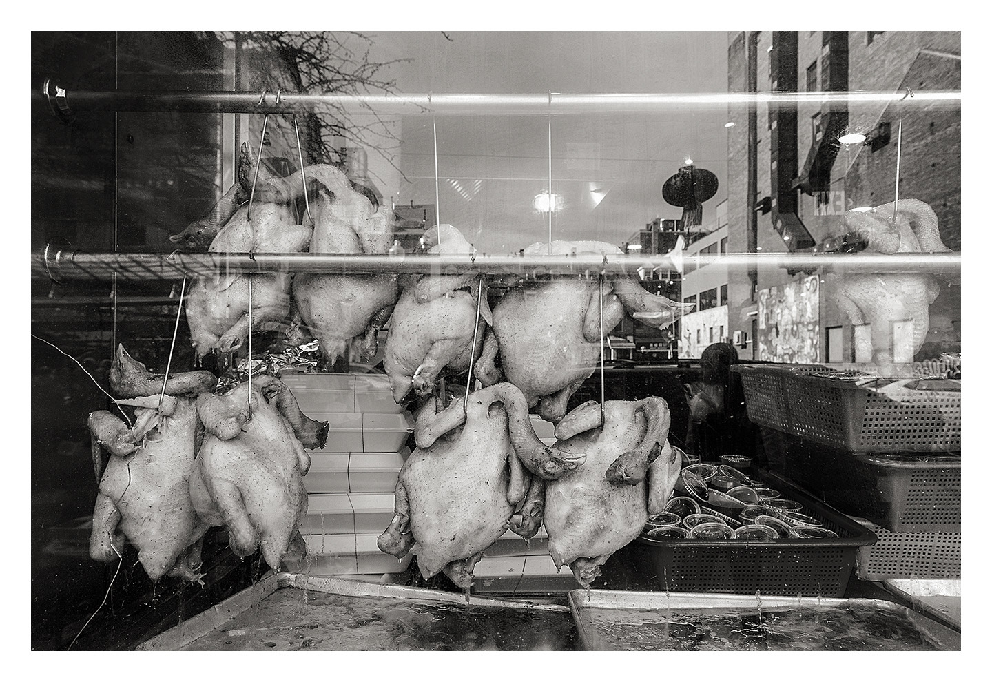 Poultry Shop Window, Chinatown, Boston