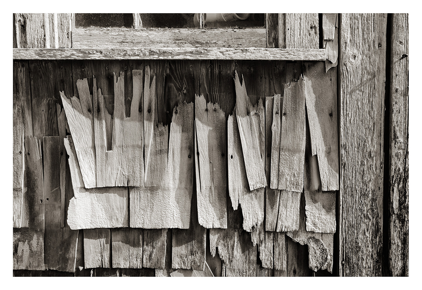 Worn Shingles, Menemsha