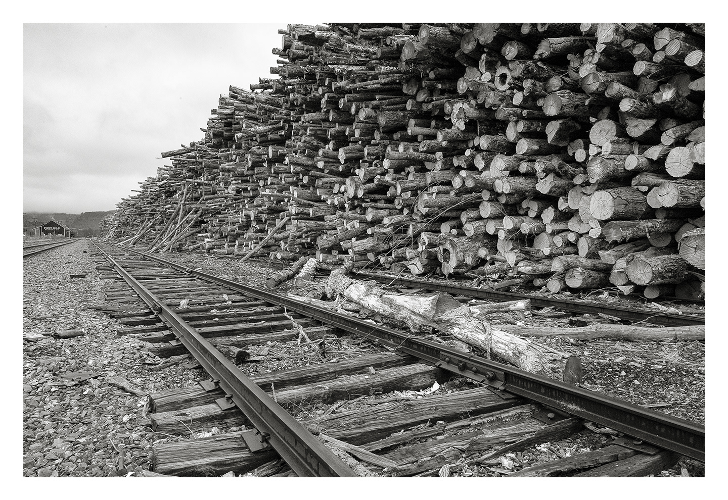 Pulpwood, Fort Kent, ME