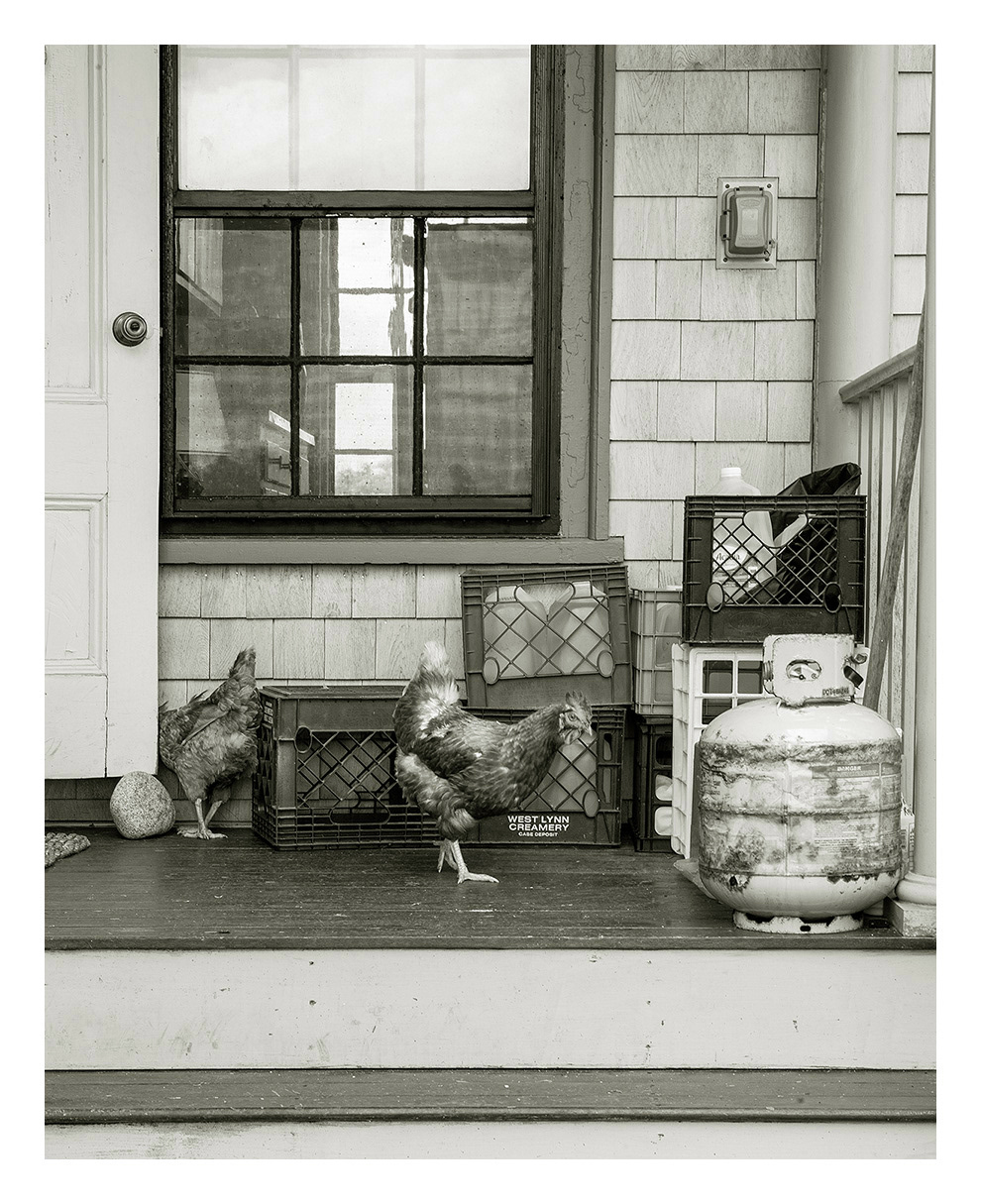 Chickens, Keeper's House