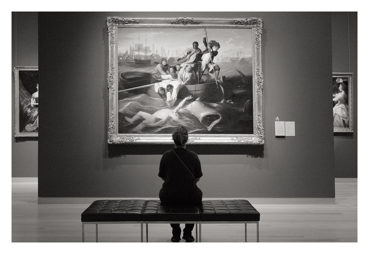 Jessie and the Shark, MFA Boston
