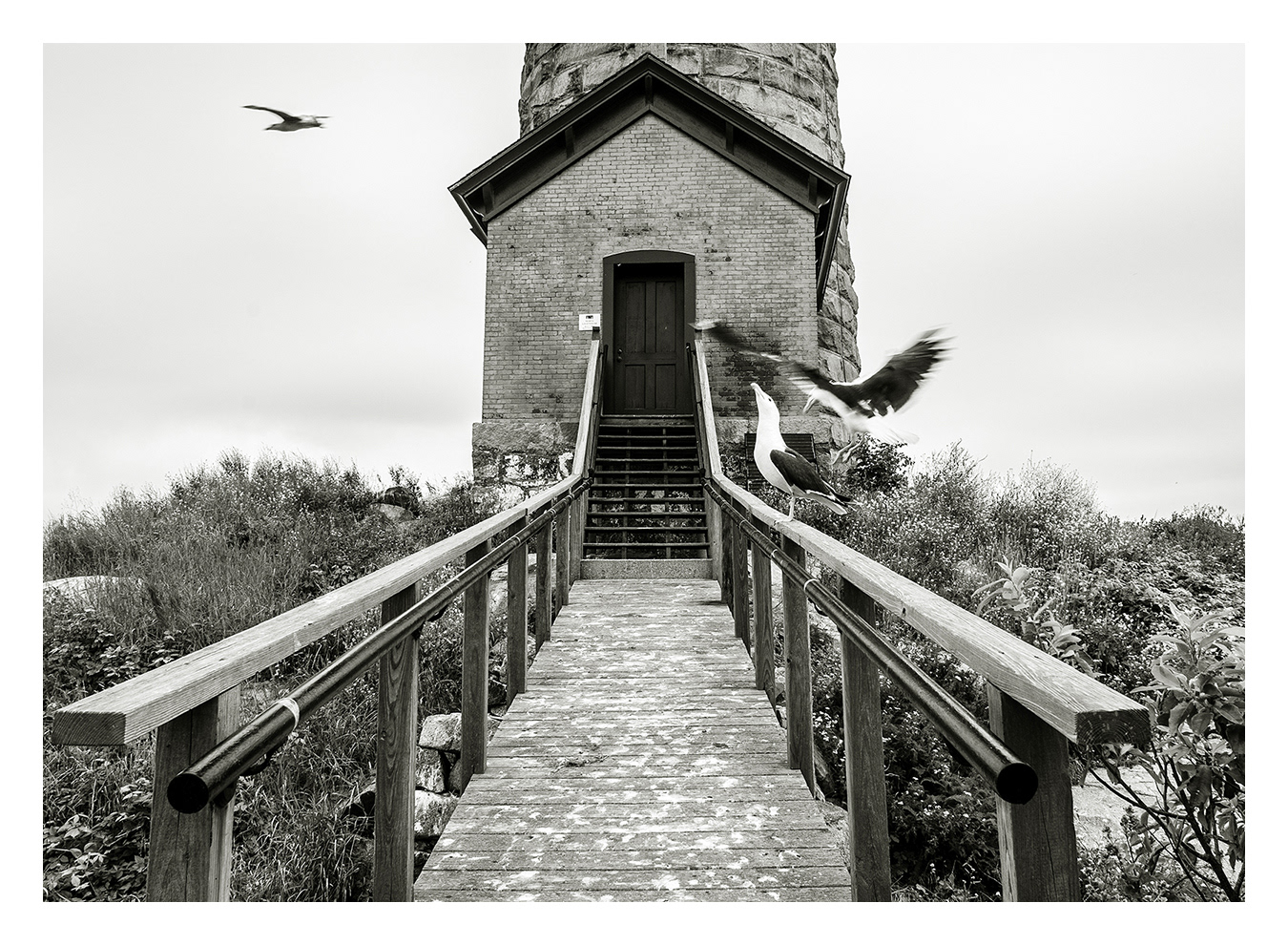 North Tower Entrance and Gulls