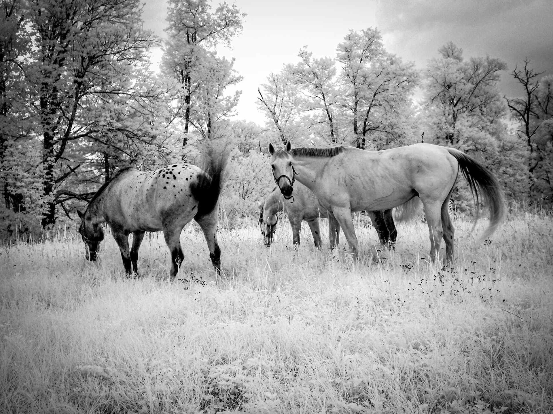 Outstanding in their field