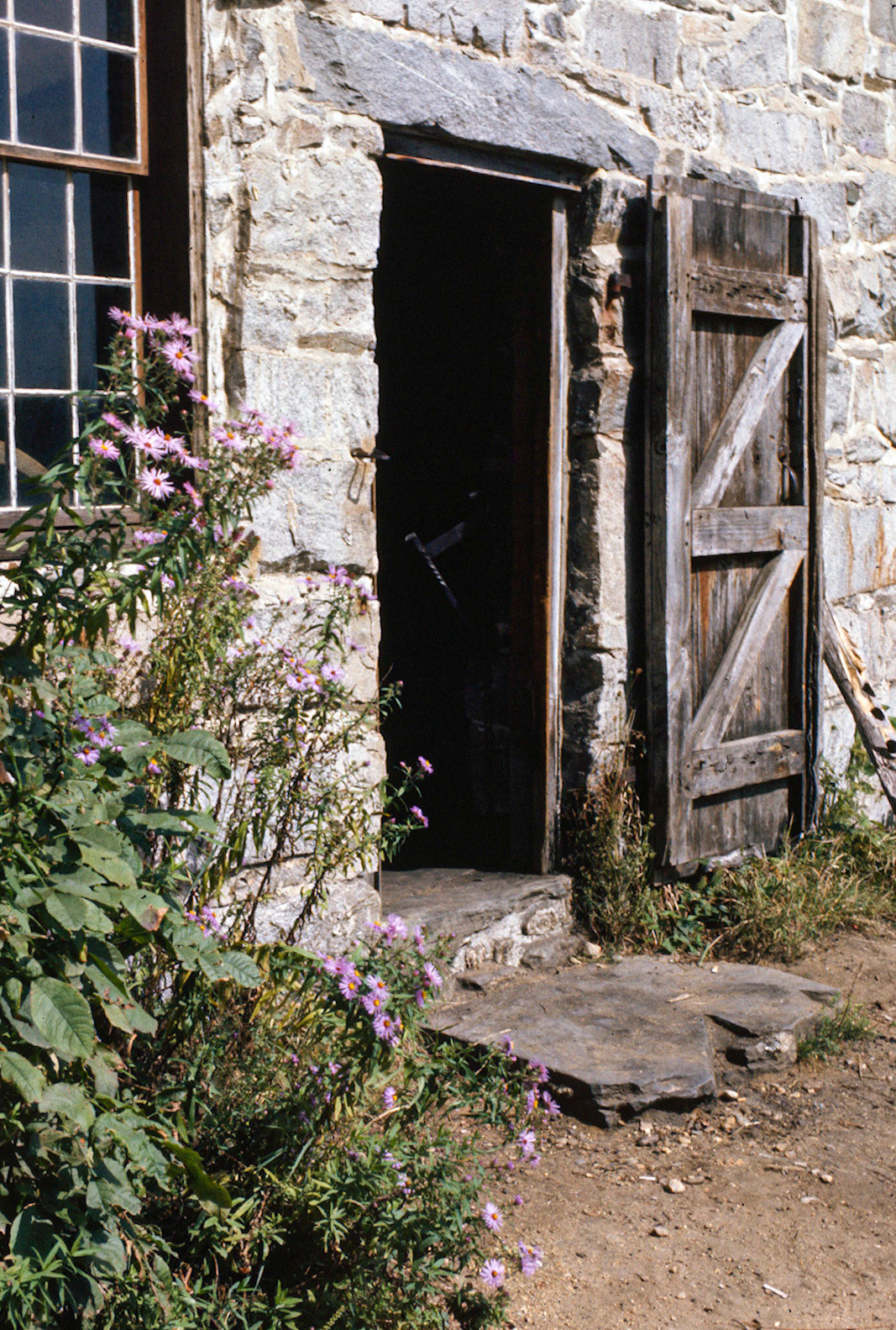 Open Door Policy