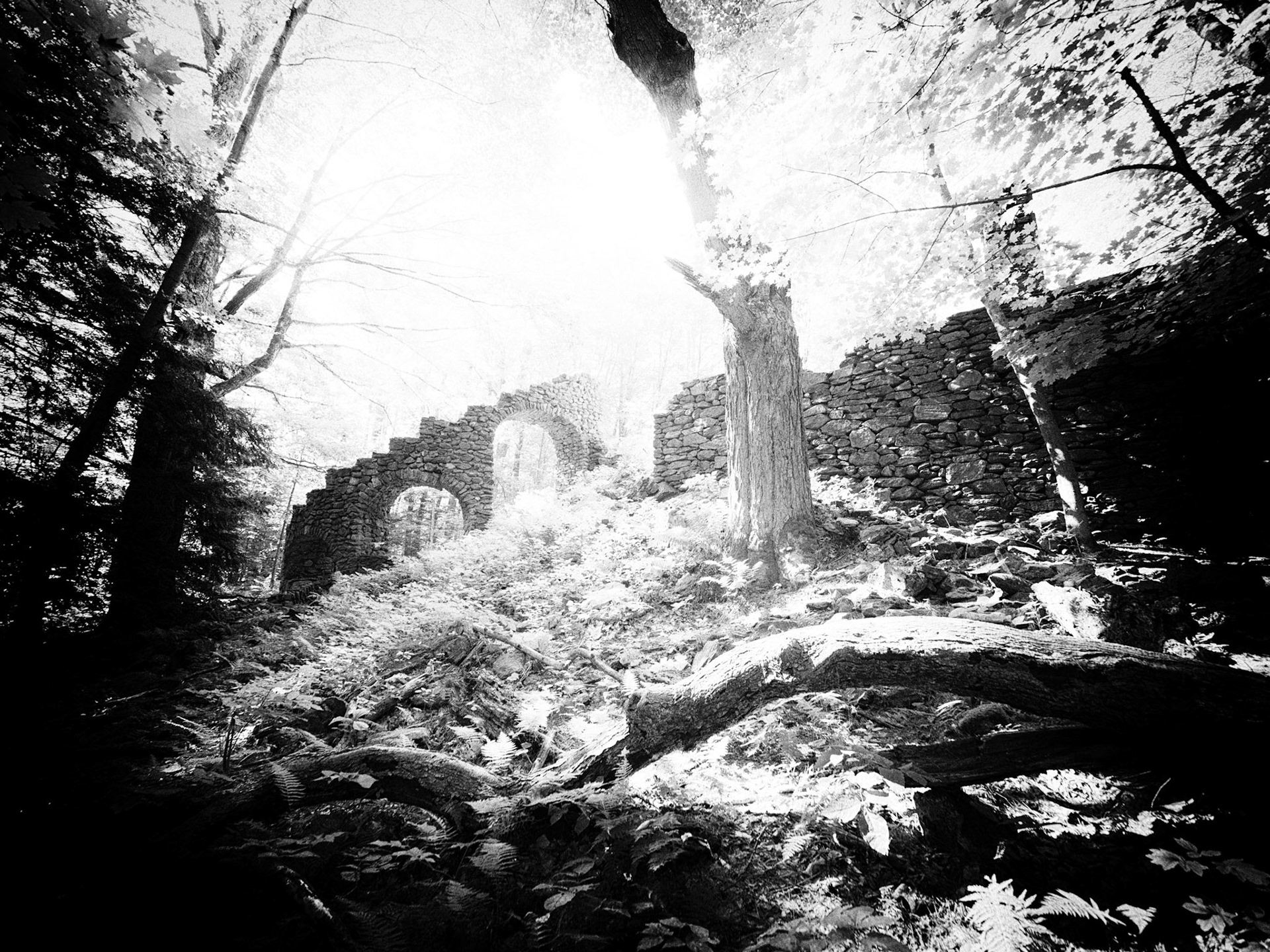 Madam Sherri's castle ruins