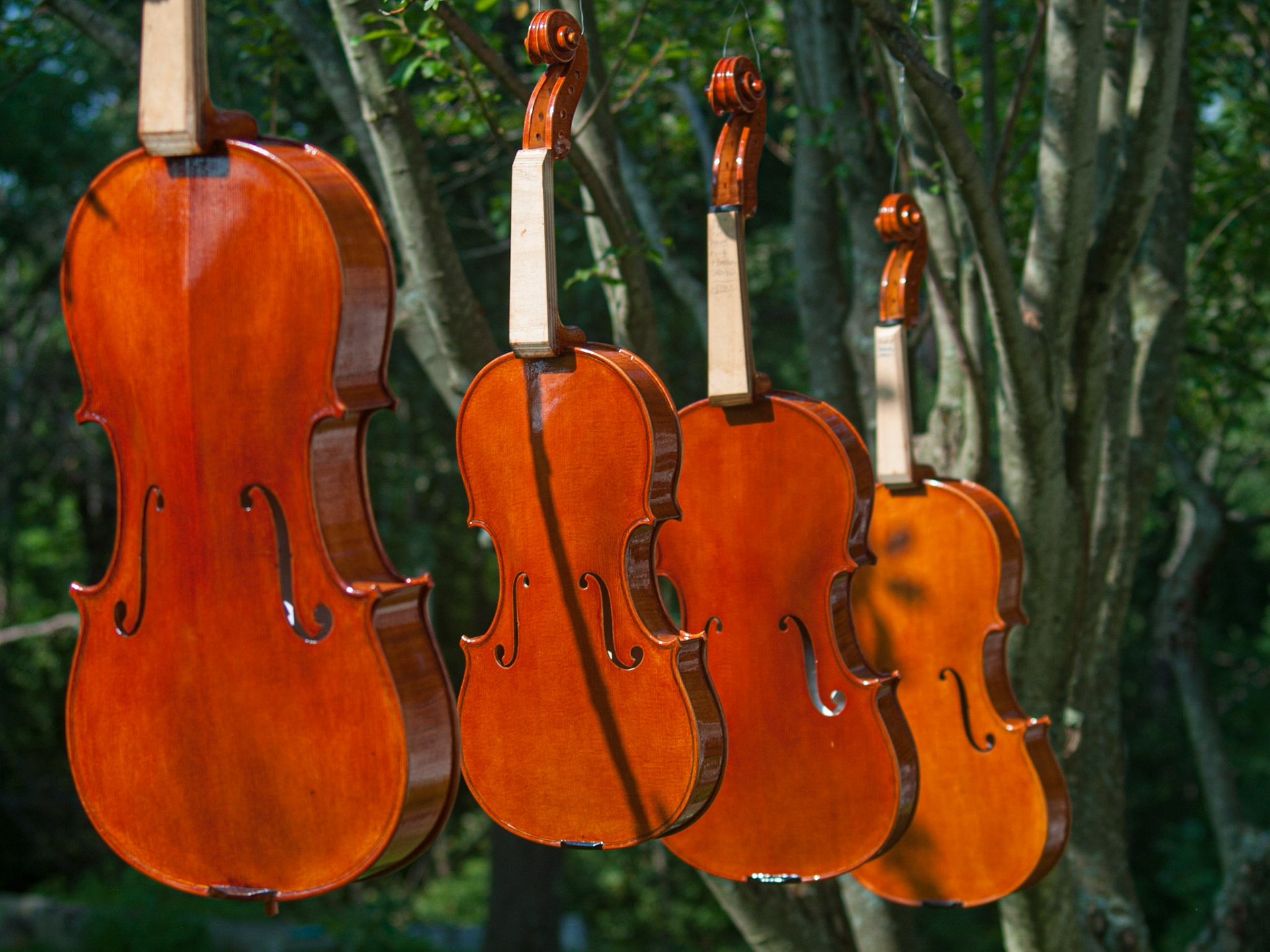 Russ Gebhart, violin maker, New Ipswich, NH