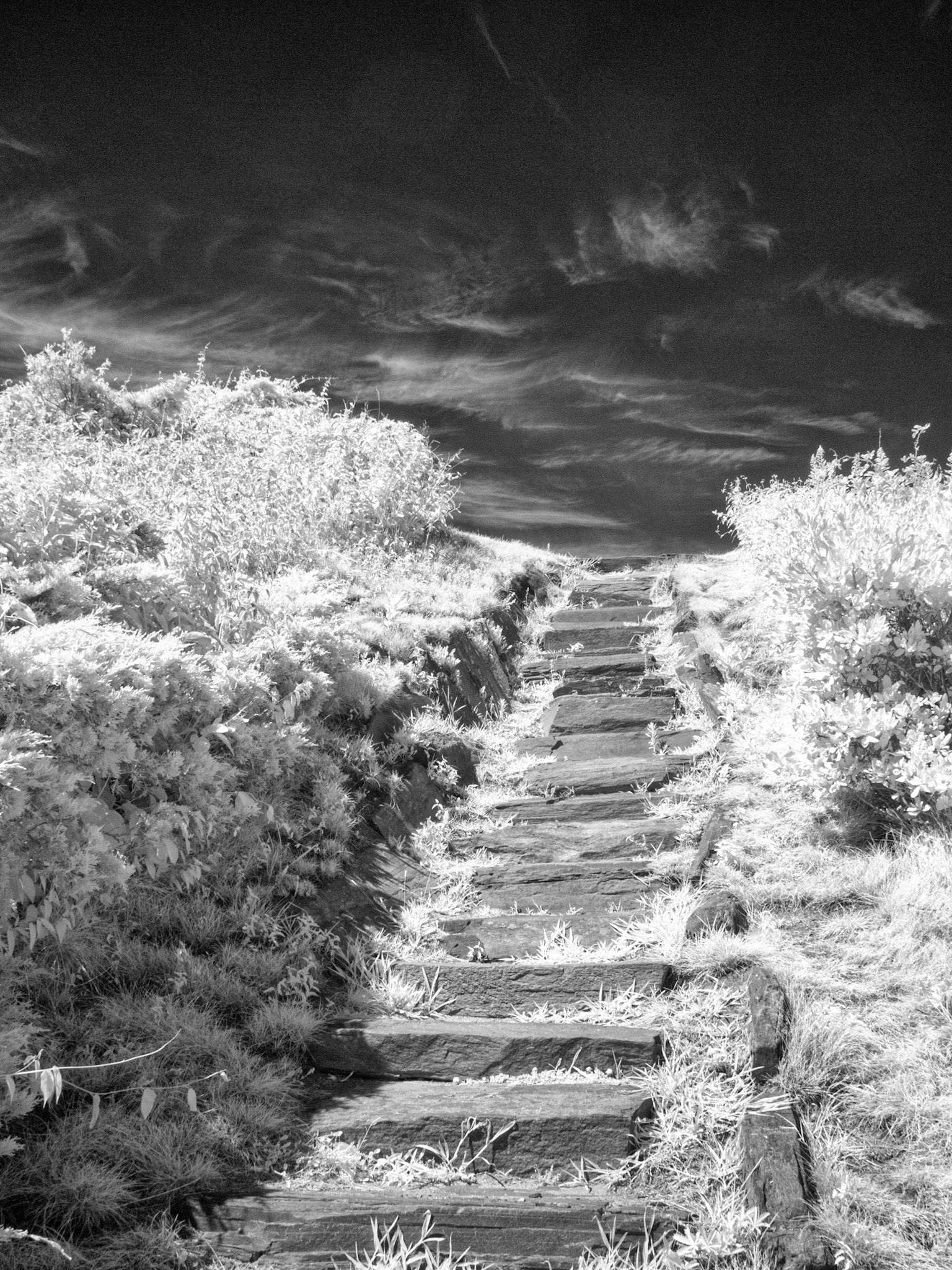 Stairway to Heaven - Two Lights State Park