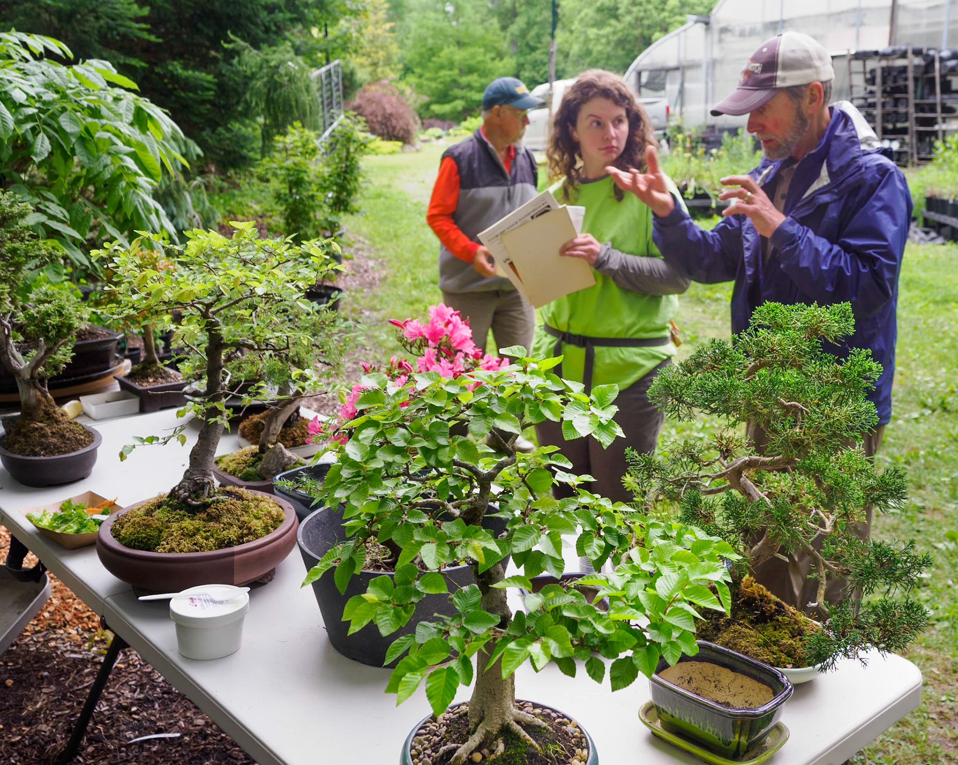 Bonsai collection on display at an Open House event at Mason Hollow Nursery