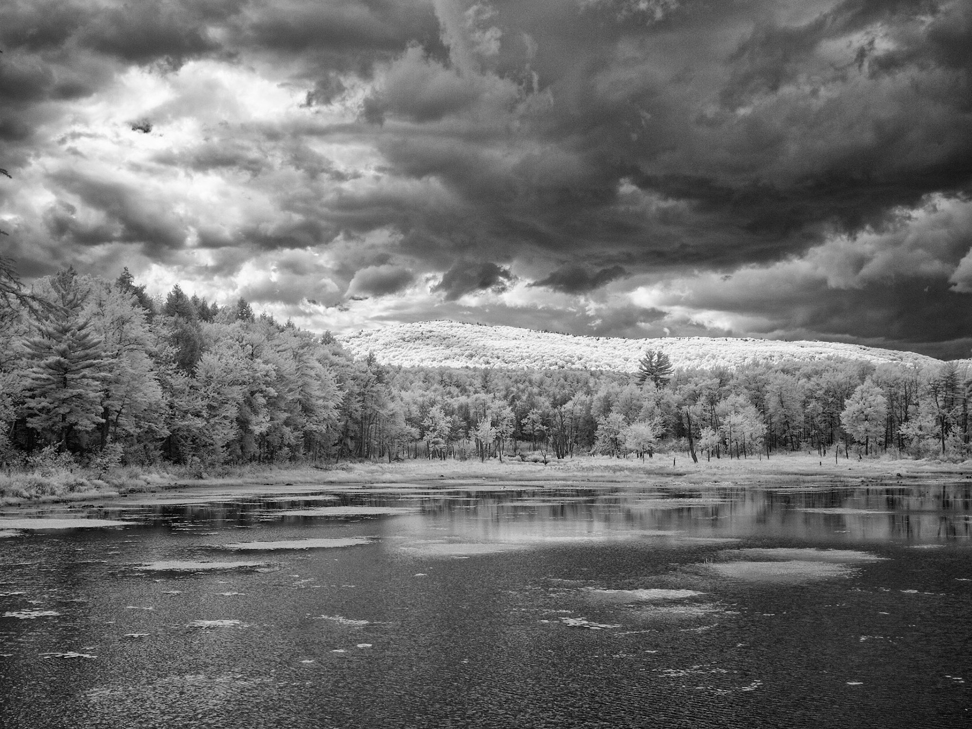 Gathering clouds on an August day at Smithville Reservoir