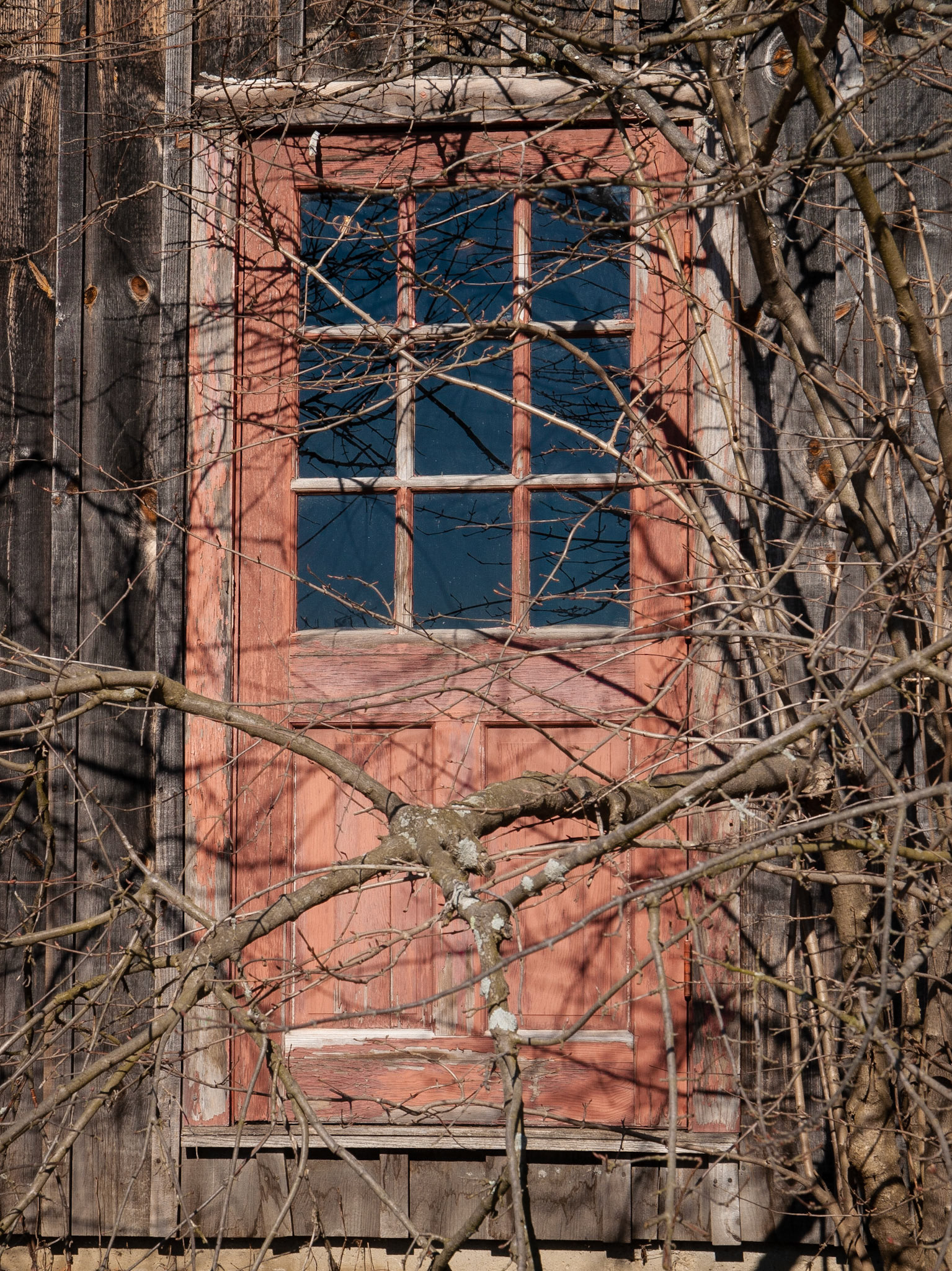Red Door