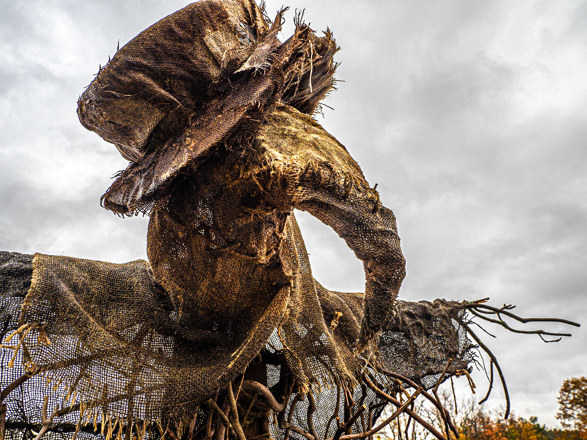 Scarecrow