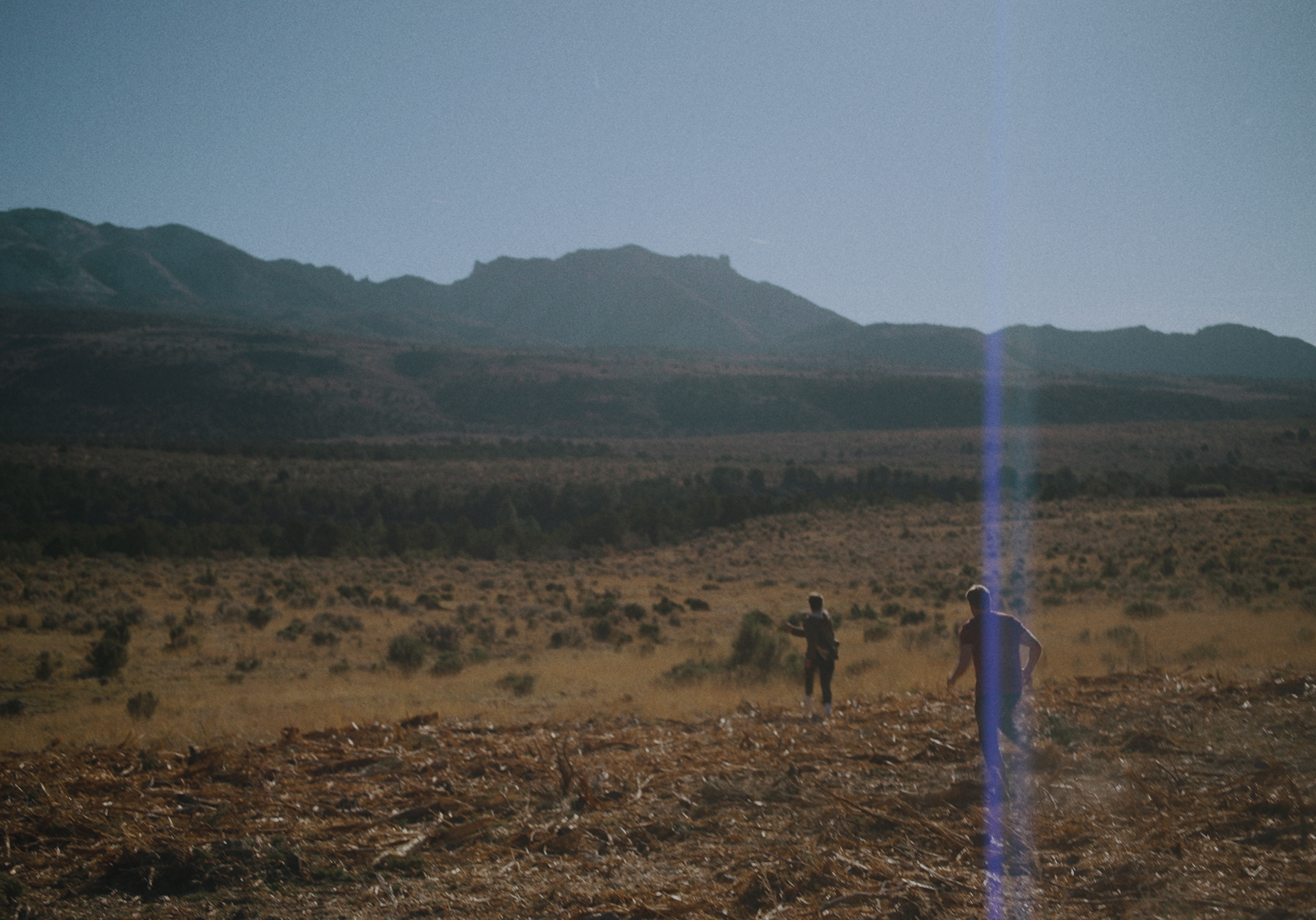 Vertical lens flairs from the off-axis Viltrox Epic Anamorphic Lenses