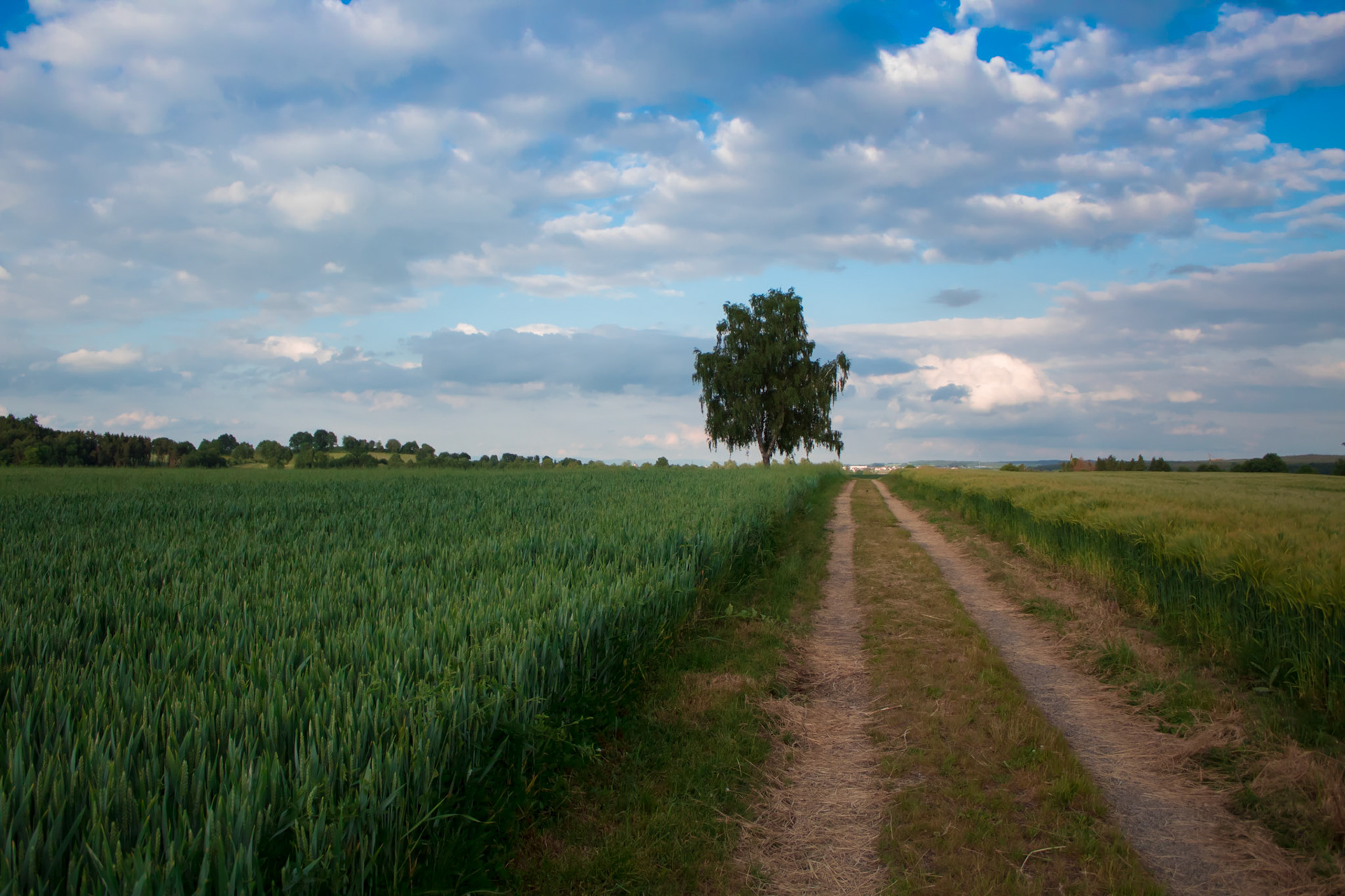 Path between Fields