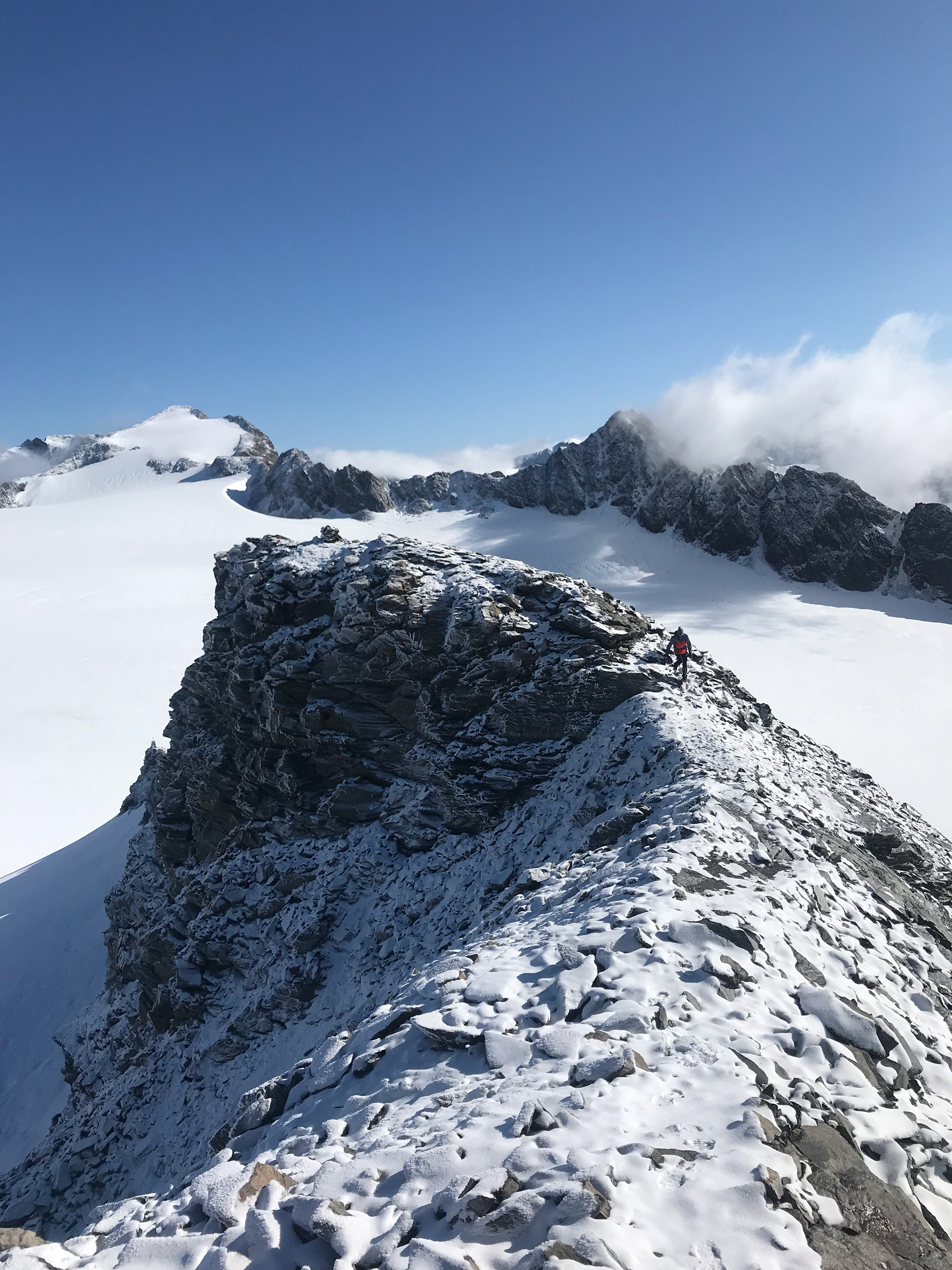 Gipfelgrat zur Vorderen Hintereisspitze 3437m