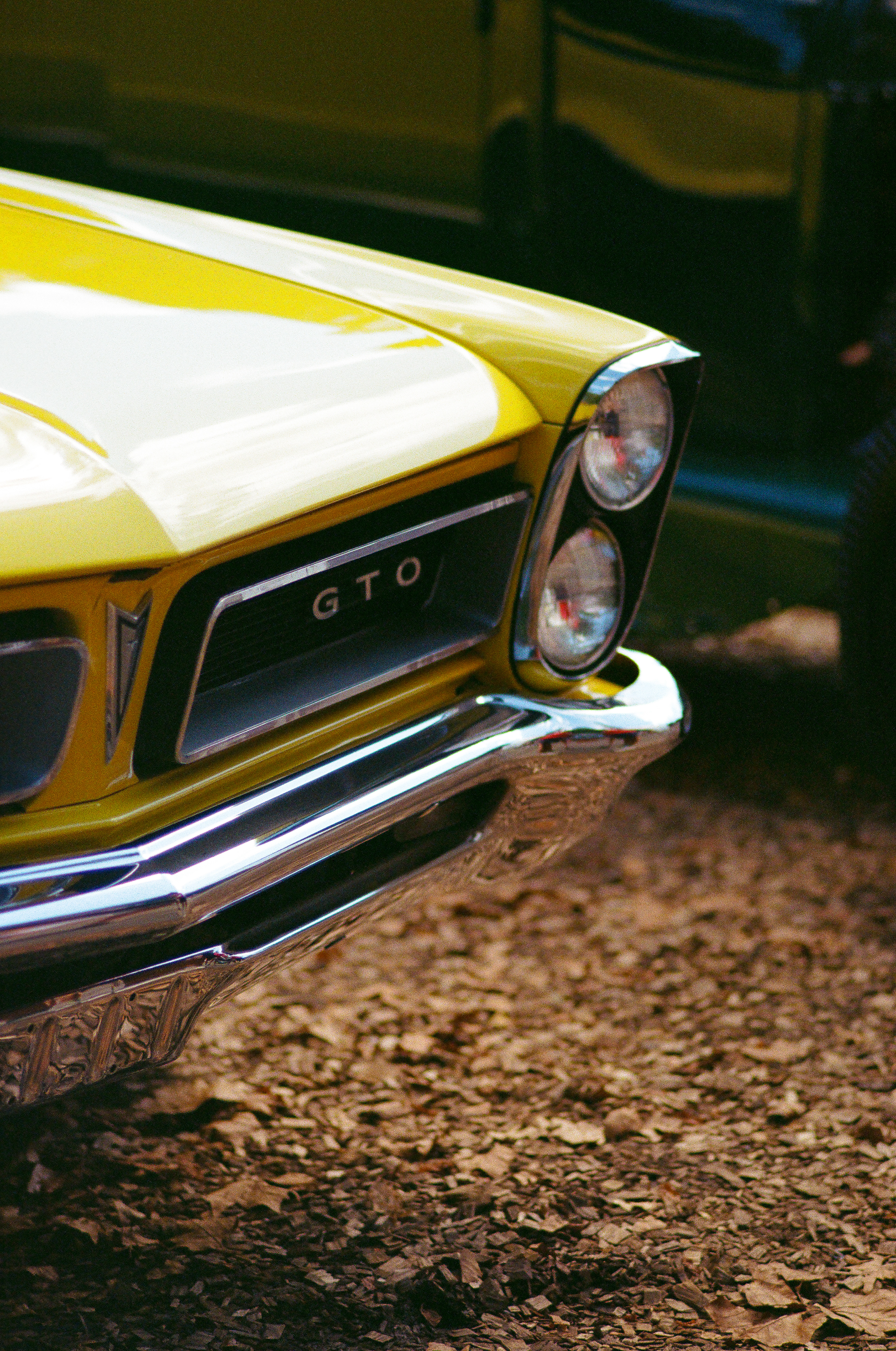 Fuji Superia 200; Contax Q139 - 2024