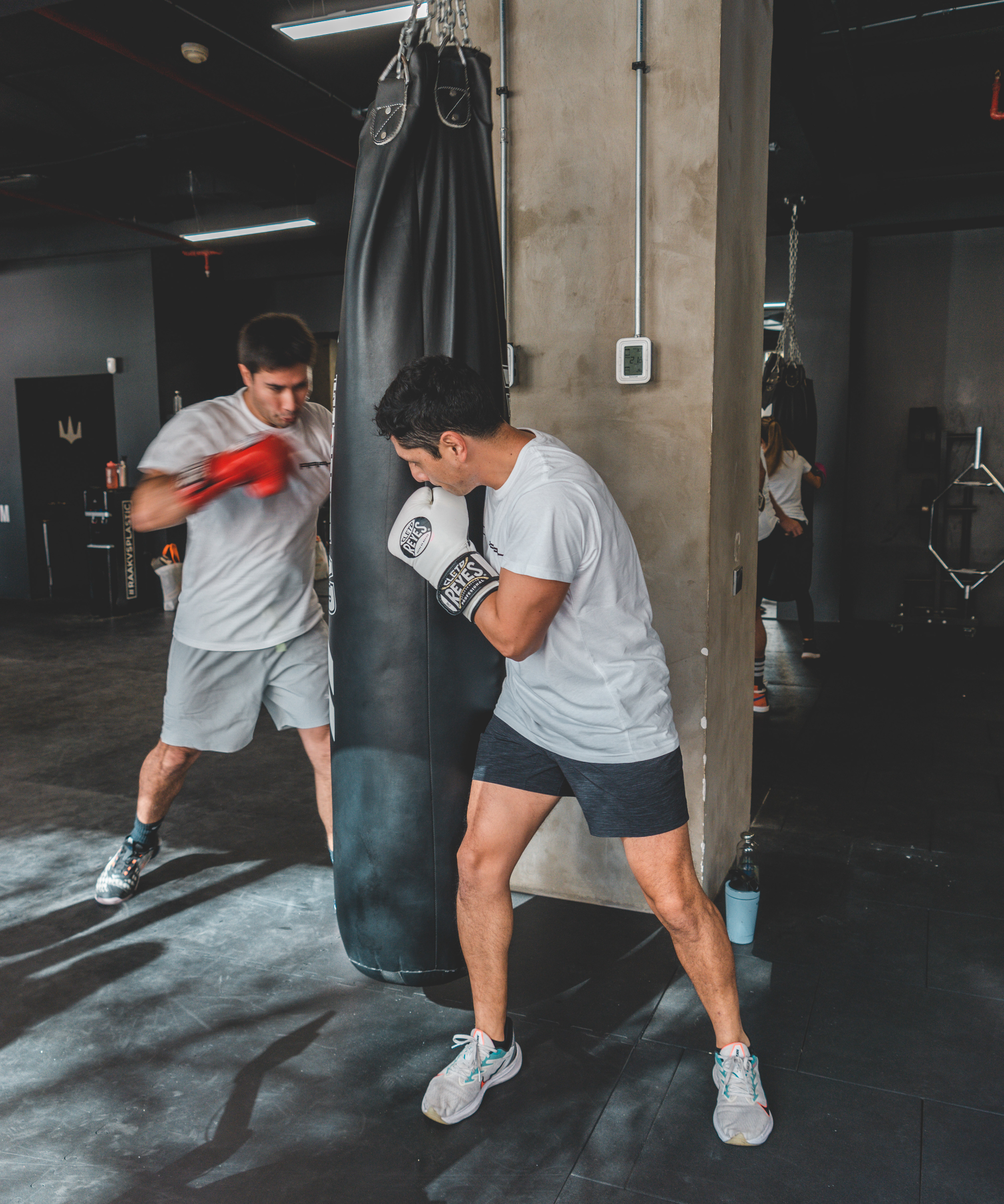 Trabajo para Gimnasio RAAk