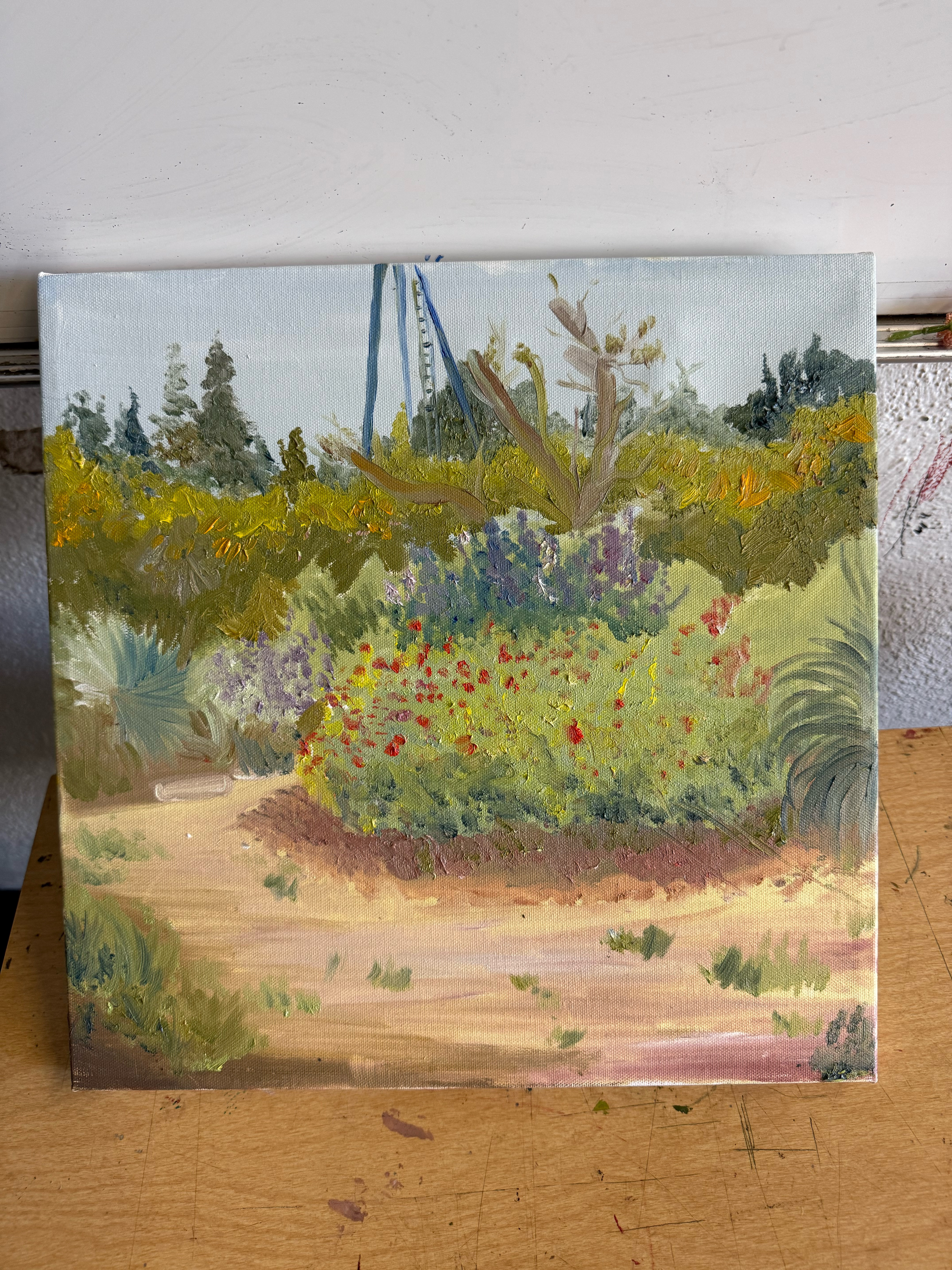 CSUF Arboretum