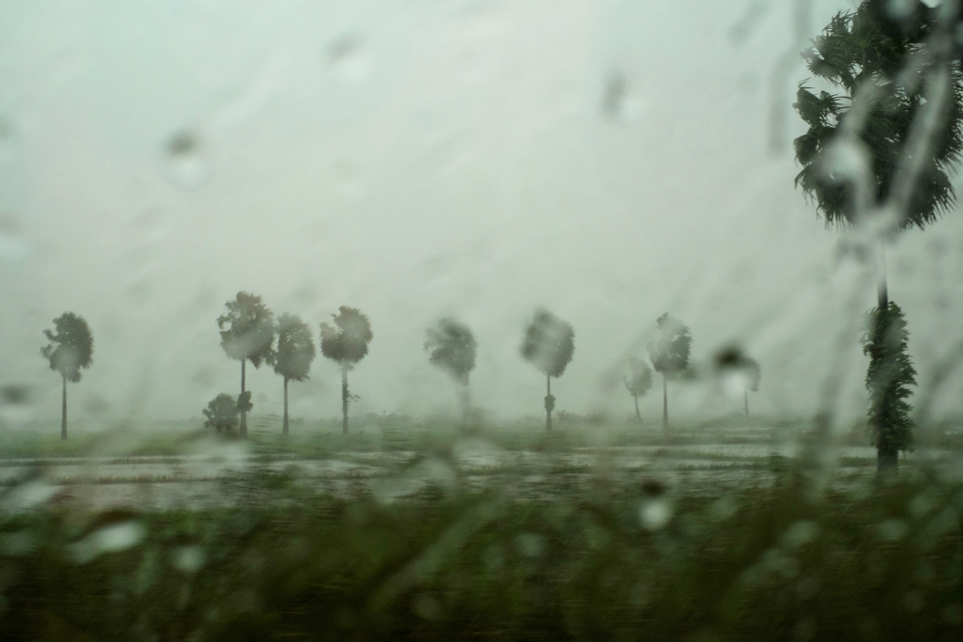 Monsoon Rain - Myanmar