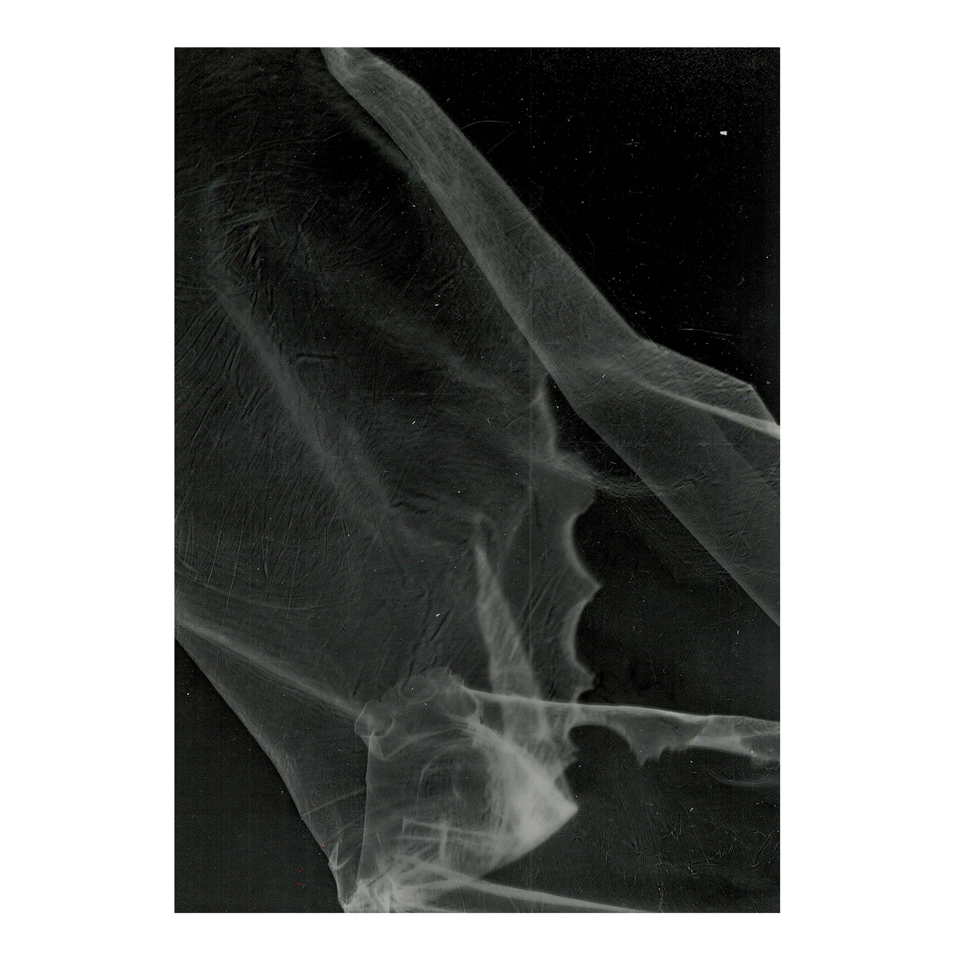 Black and white photograms