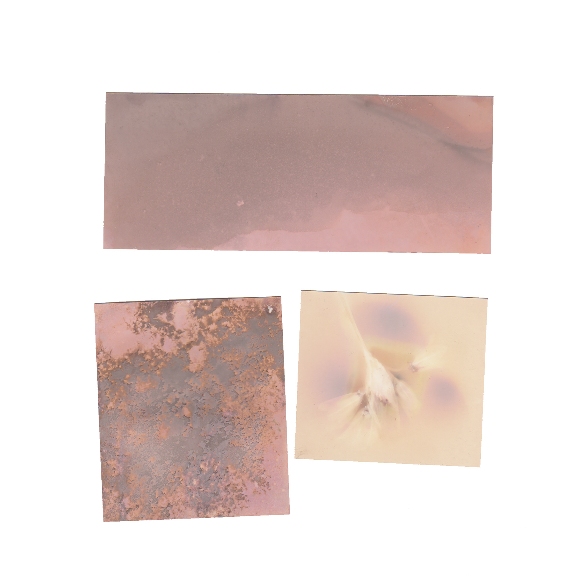 Lumen Printing - trying light and earth tests