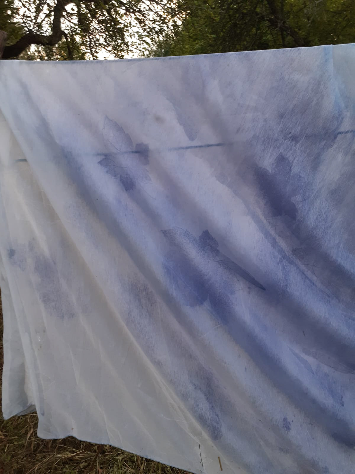 2023 - Fixing the cyanotype projection with the help of Kristina Kotov