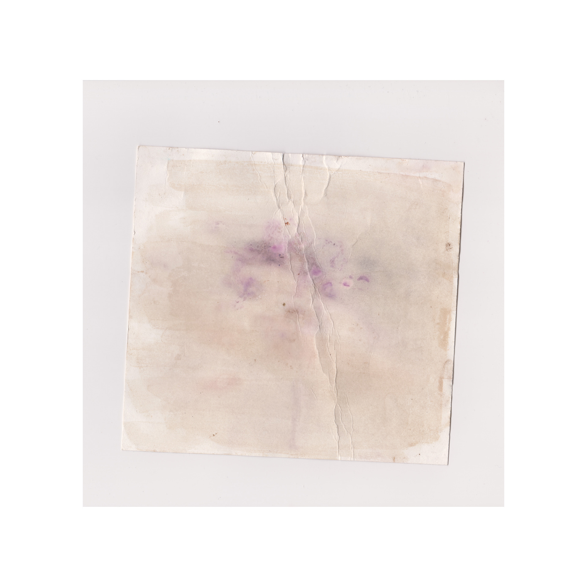 Anthotype - June 2020
