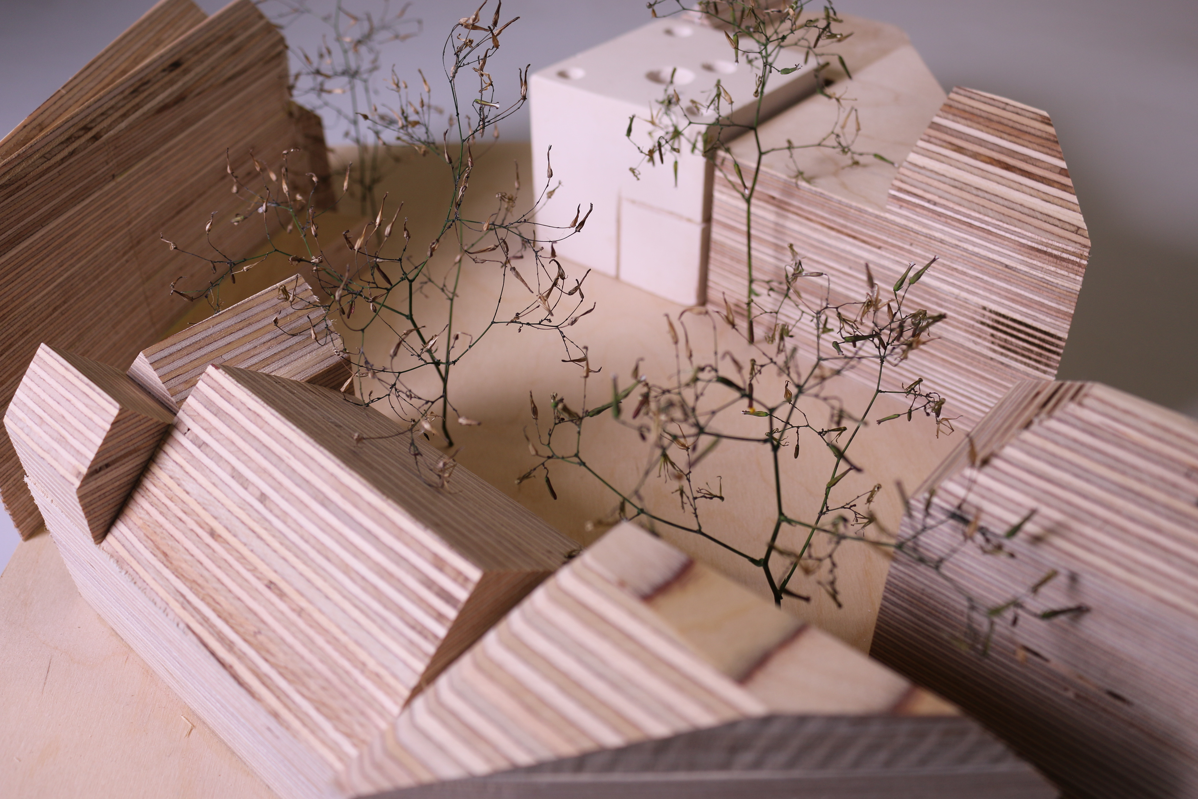 2021 - Site Model with proposal in context for a photographic gallery with workshop space 