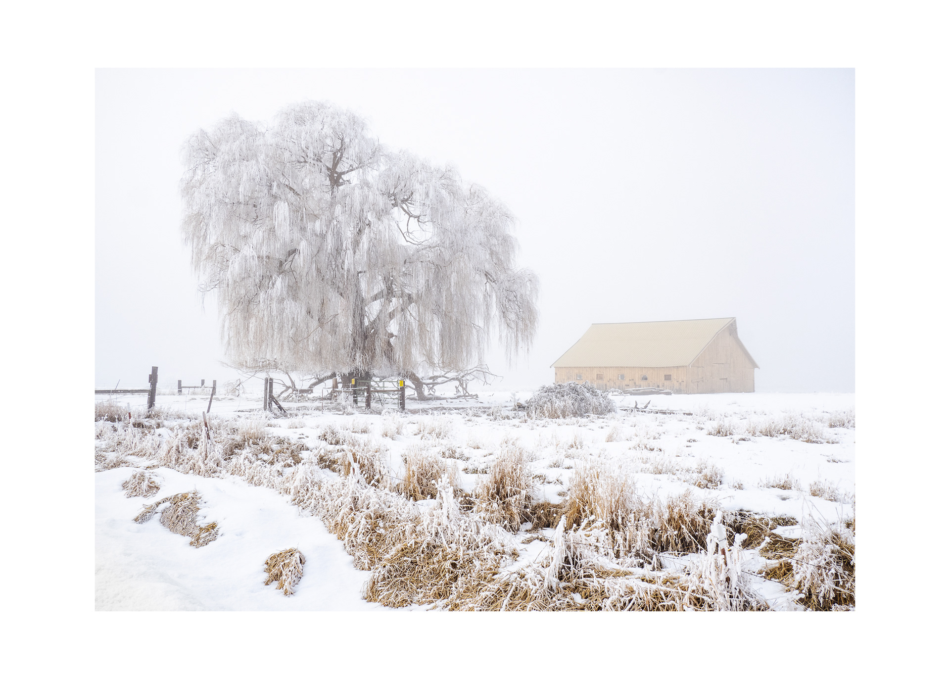 Miller Island, Oregon