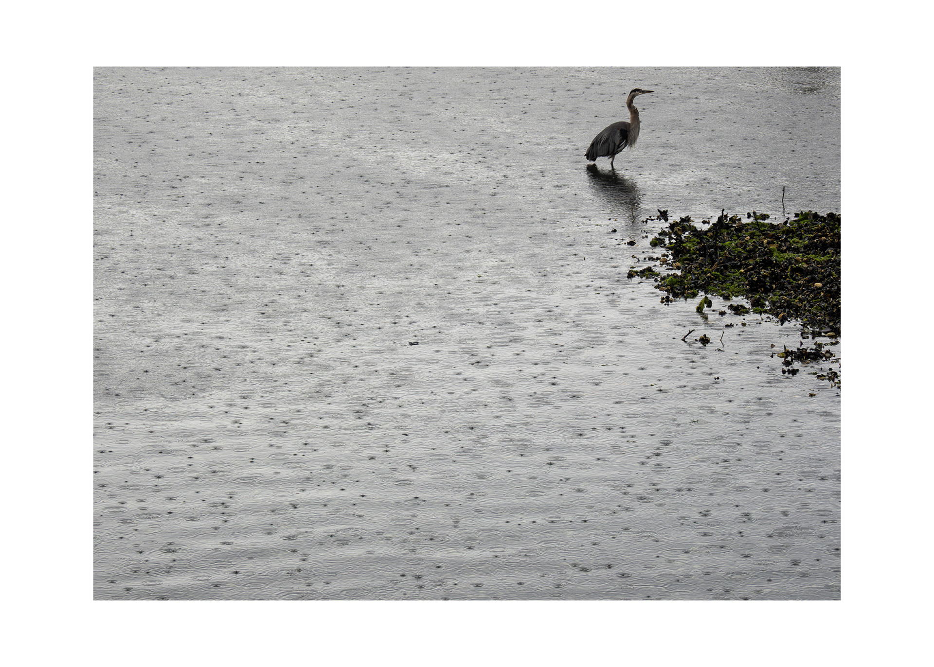 Whidbey Island, Washington