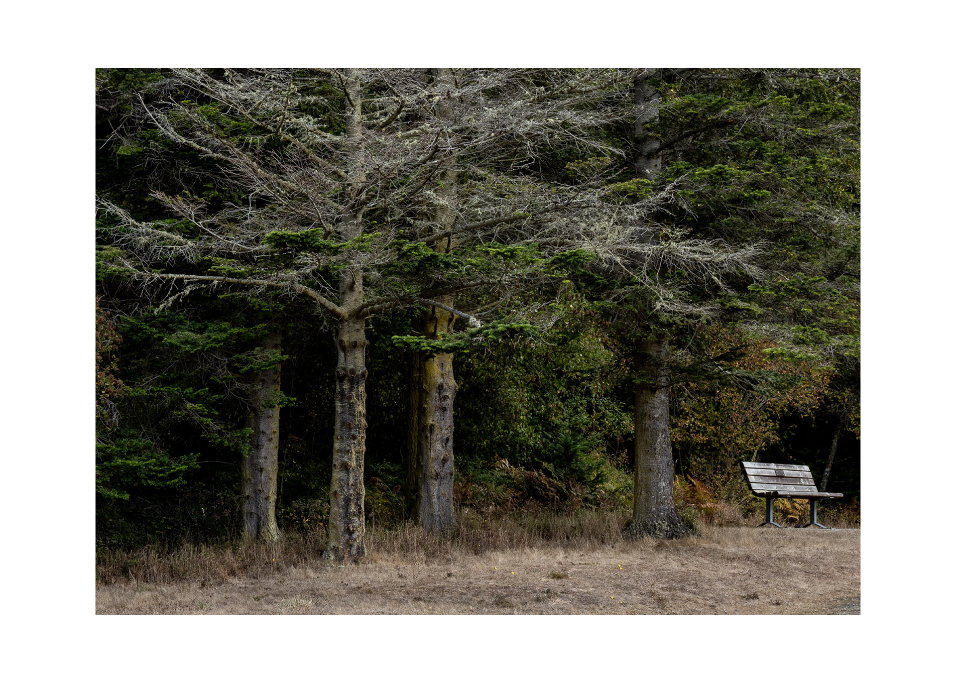 Whidbey Island, Washington