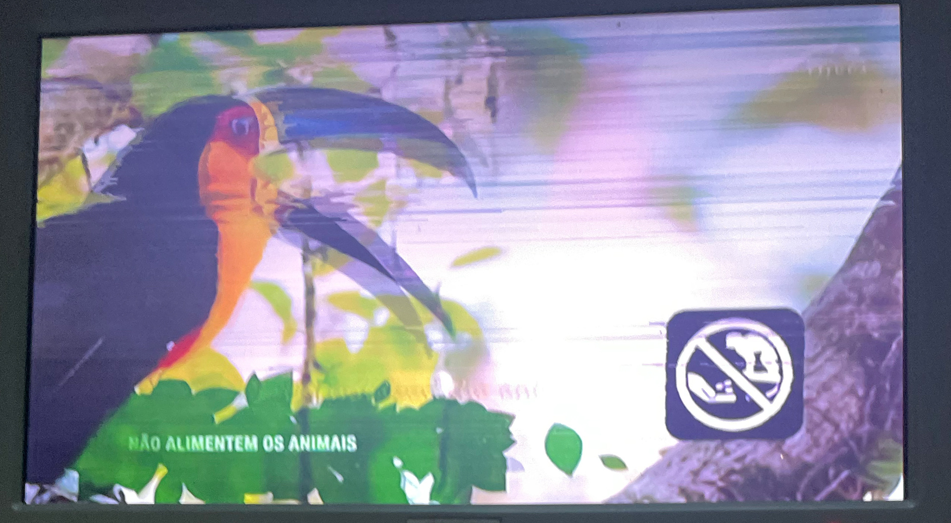 Tucano Na Tela